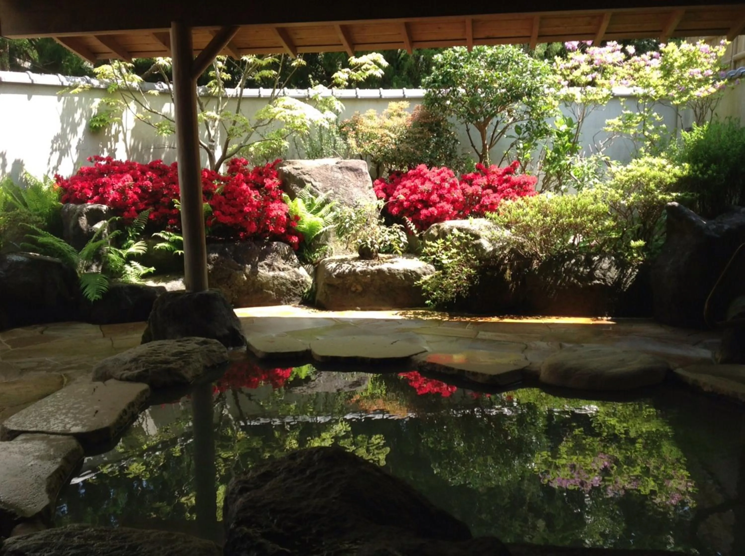 Hot Spring Bath in Mount View Hakone