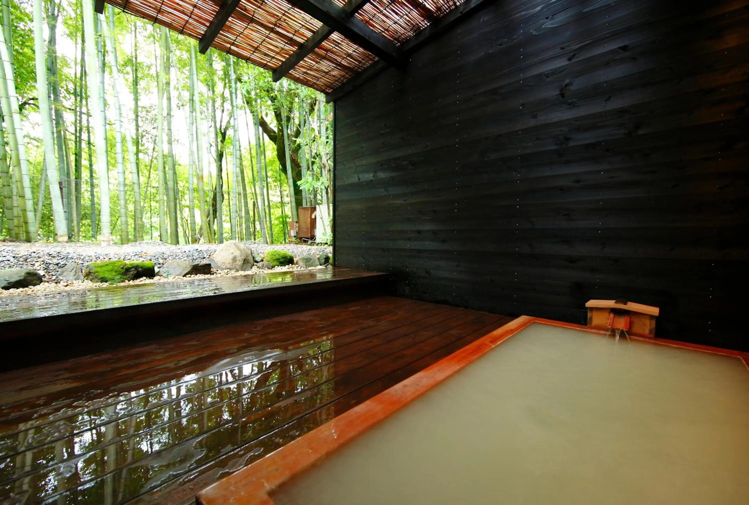 Hot Spring Bath in Mount View Hakone