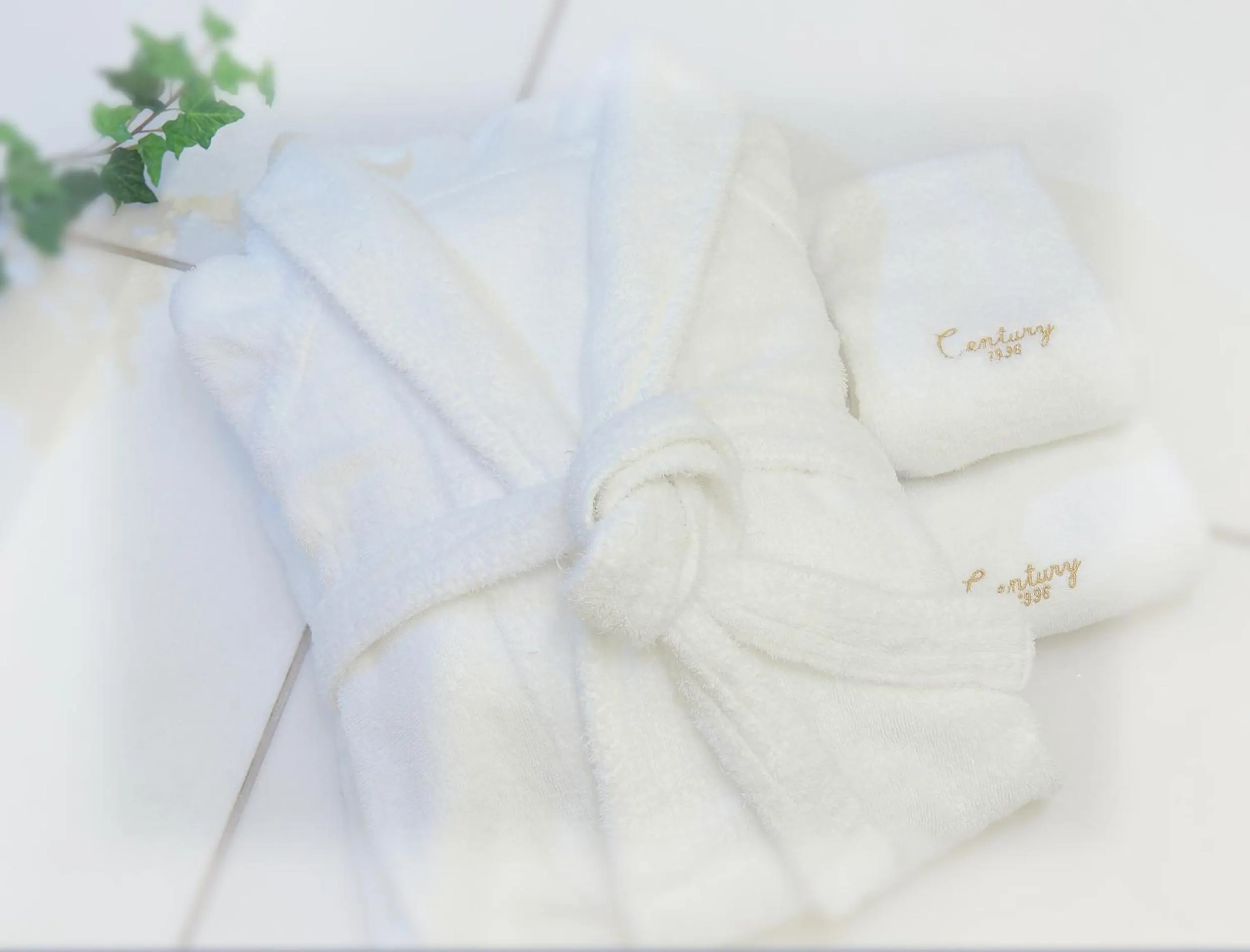 Bathroom in Odakyu Hotel Century Sagami Ono