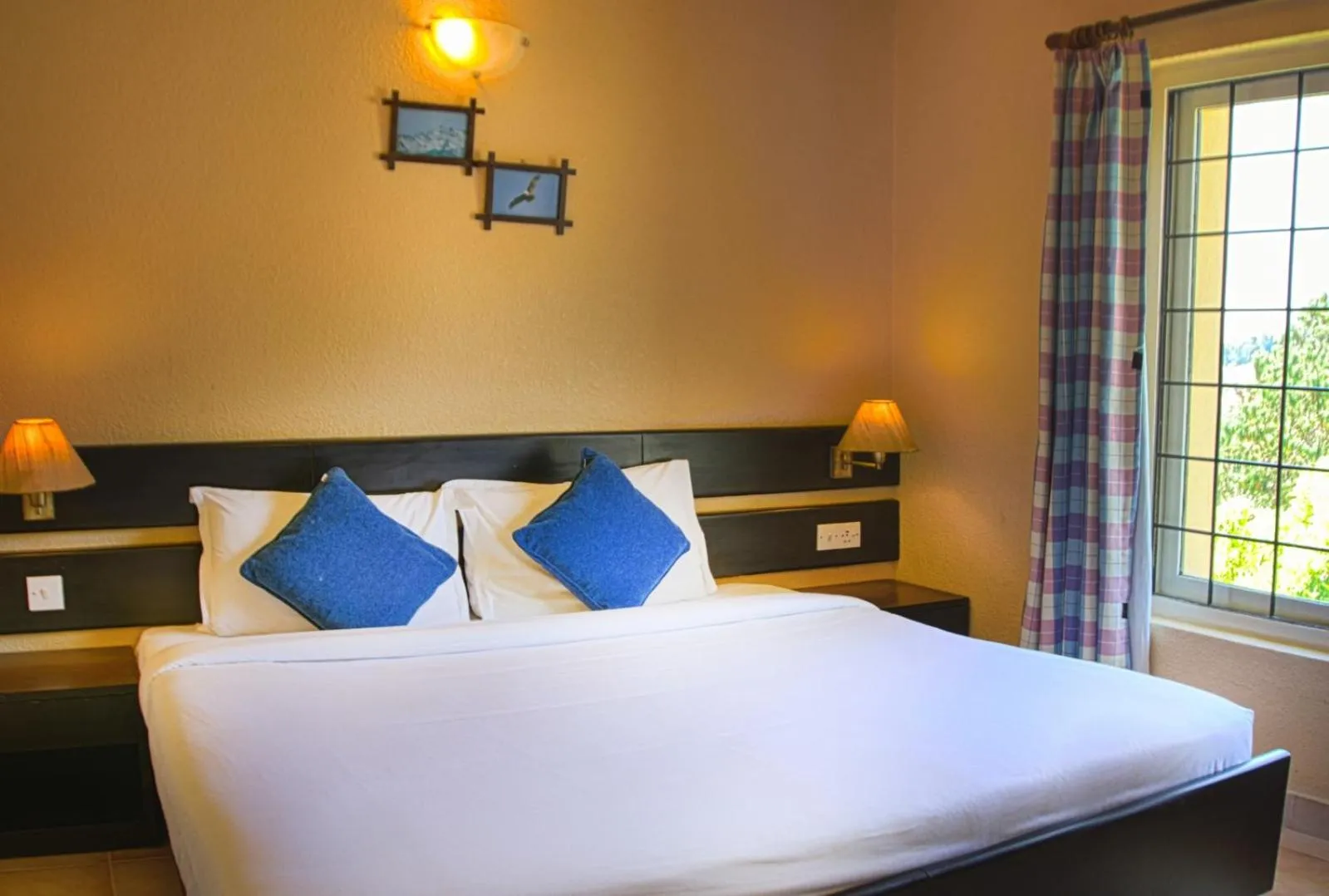 Bed in Green Pastures - A Hill Country Resort