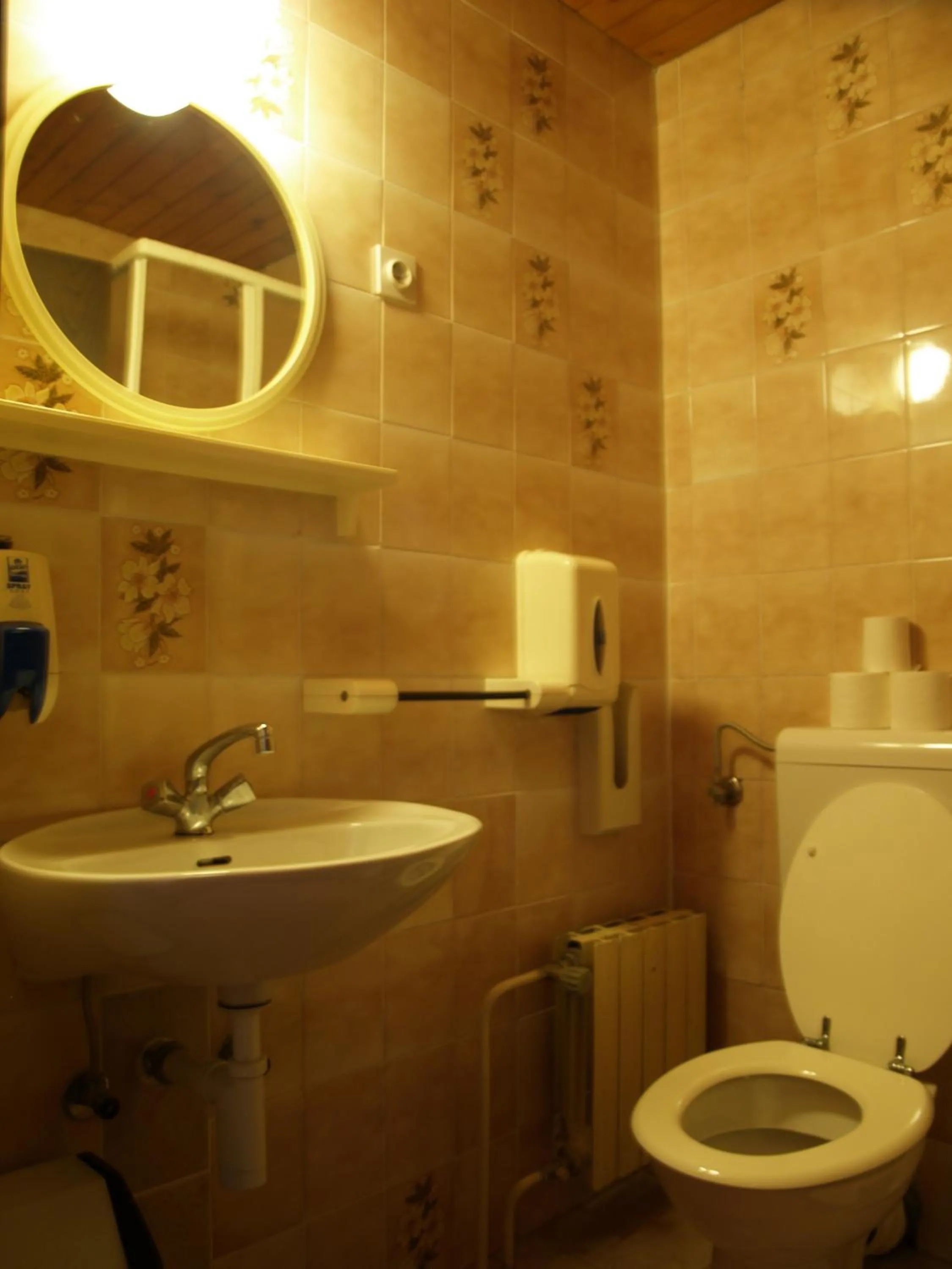 Toilet in Penzion Rožič