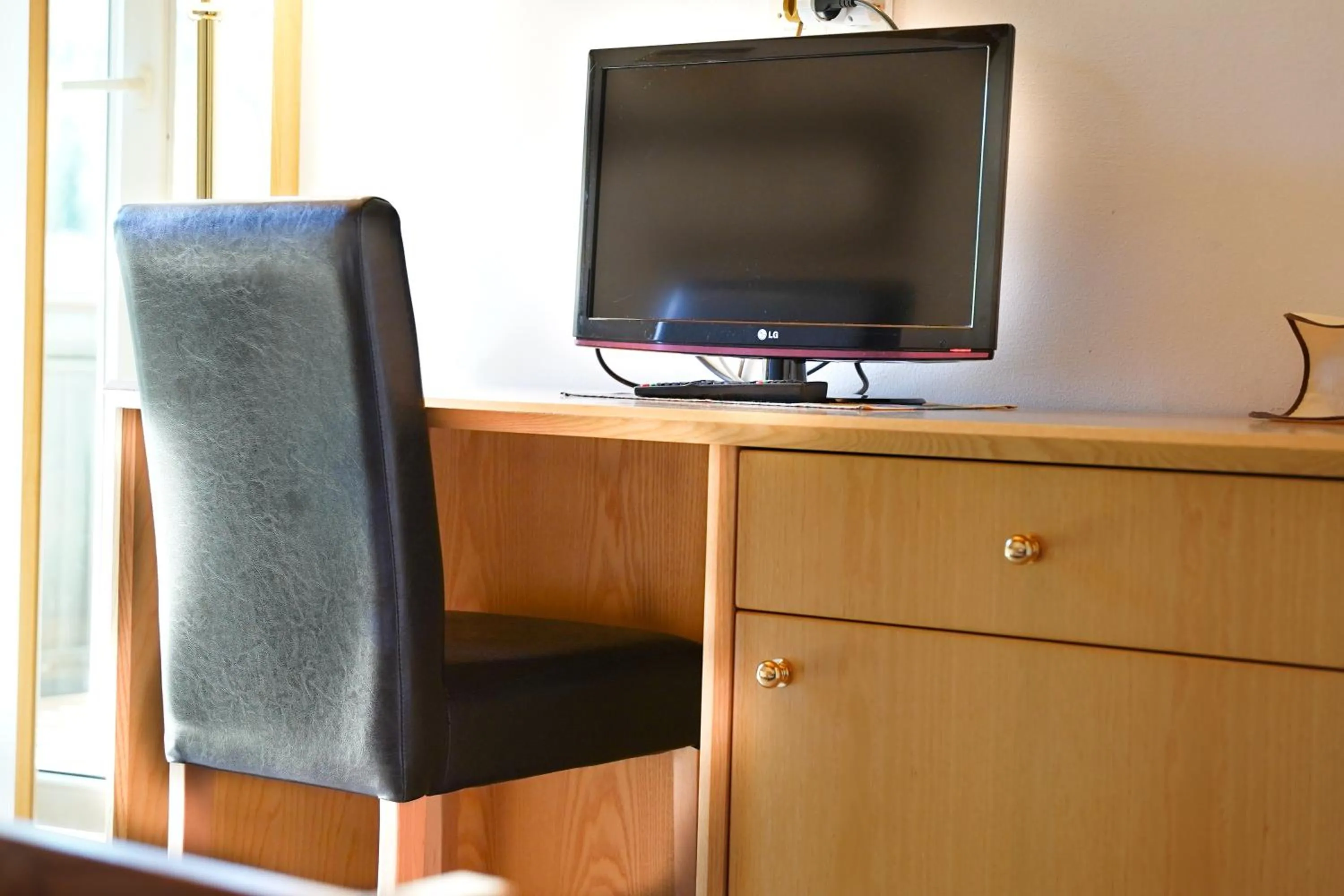 TV and multimedia in Penzion Rožič