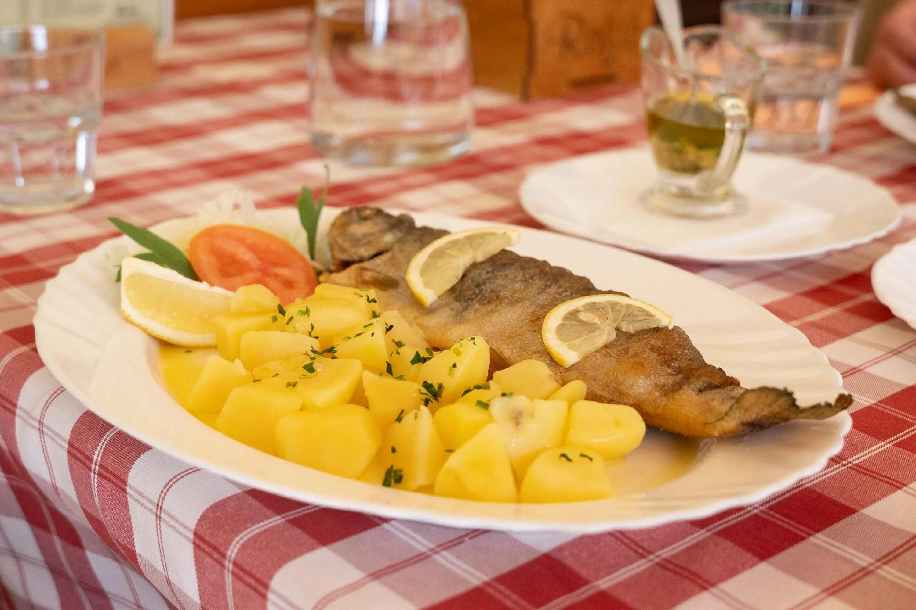 Food in Penzion Rožič