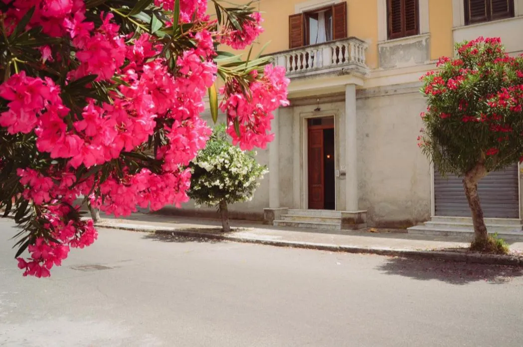 Facade/entrance in Deck Sea B&B