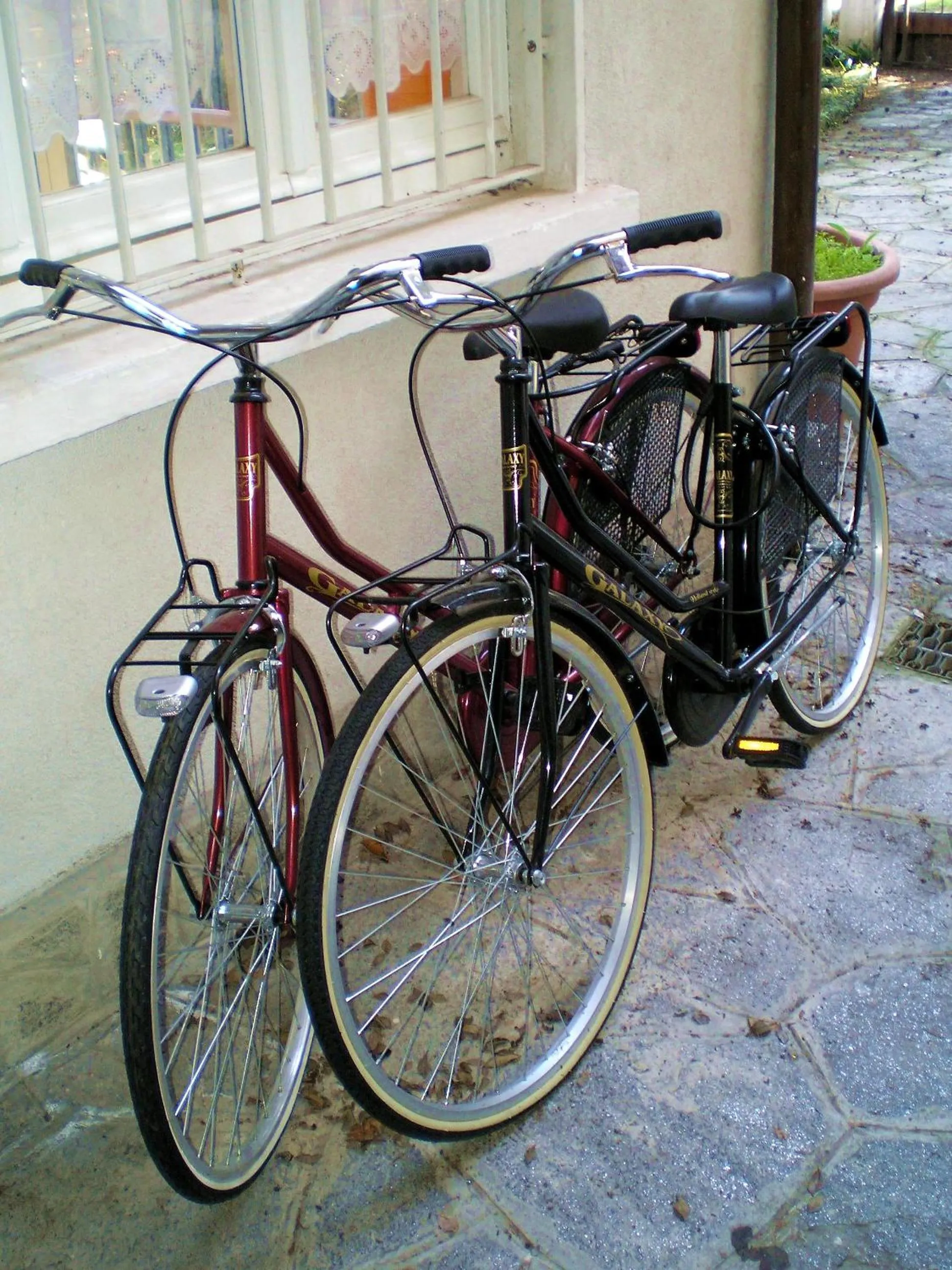 Activities in Villanuvola