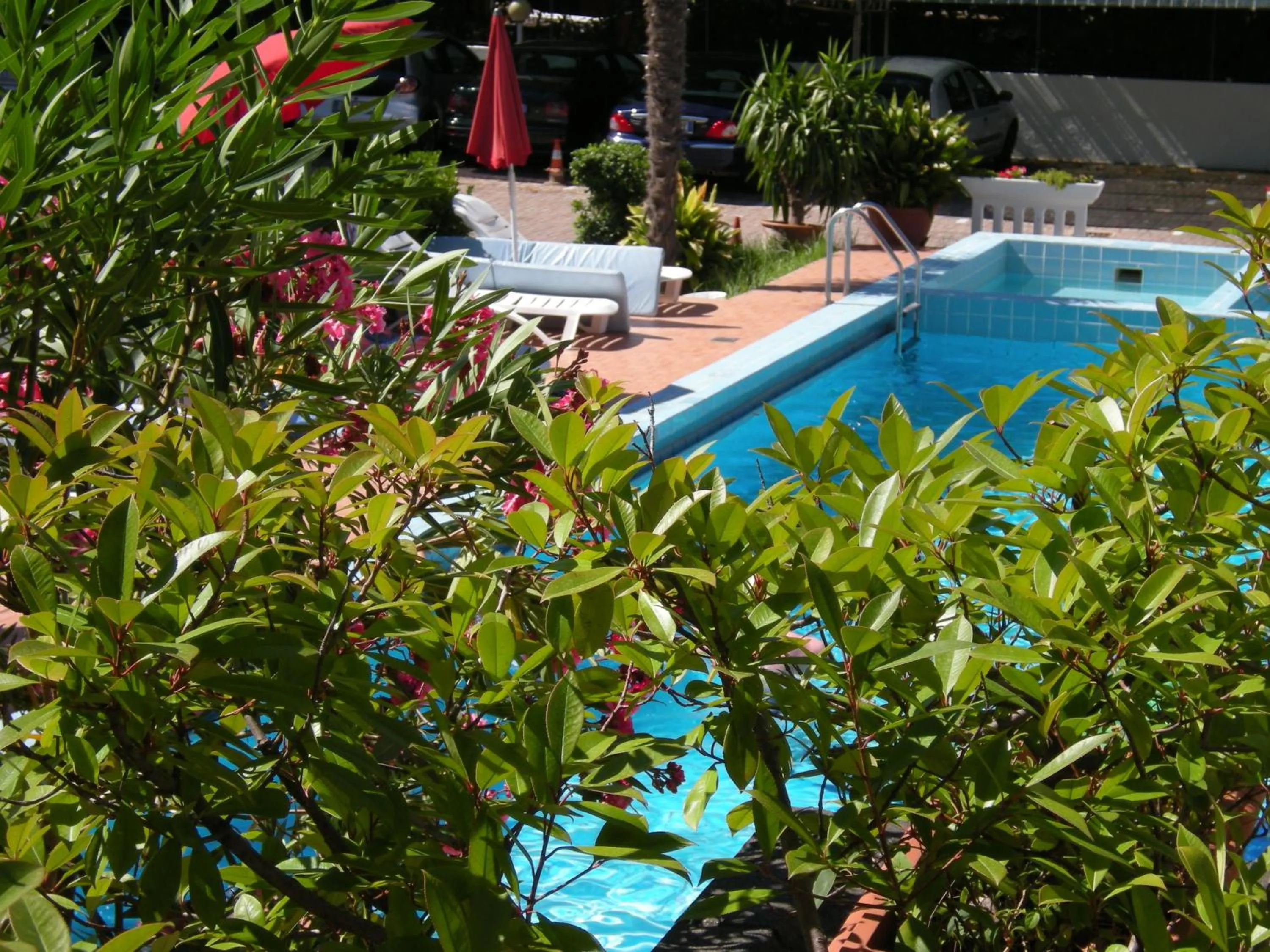 Day in Hotel Continental