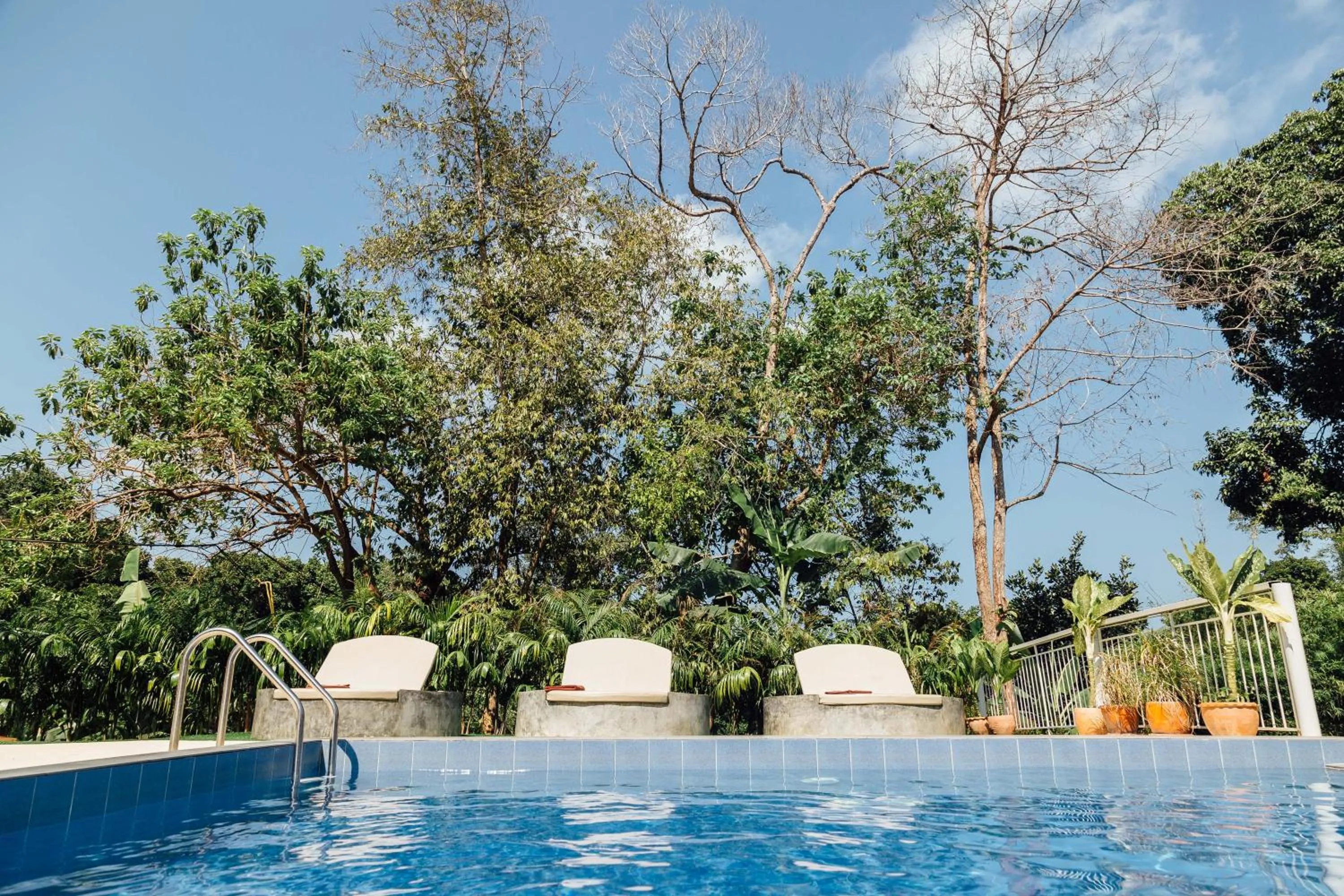 Swimming pool in Pandora