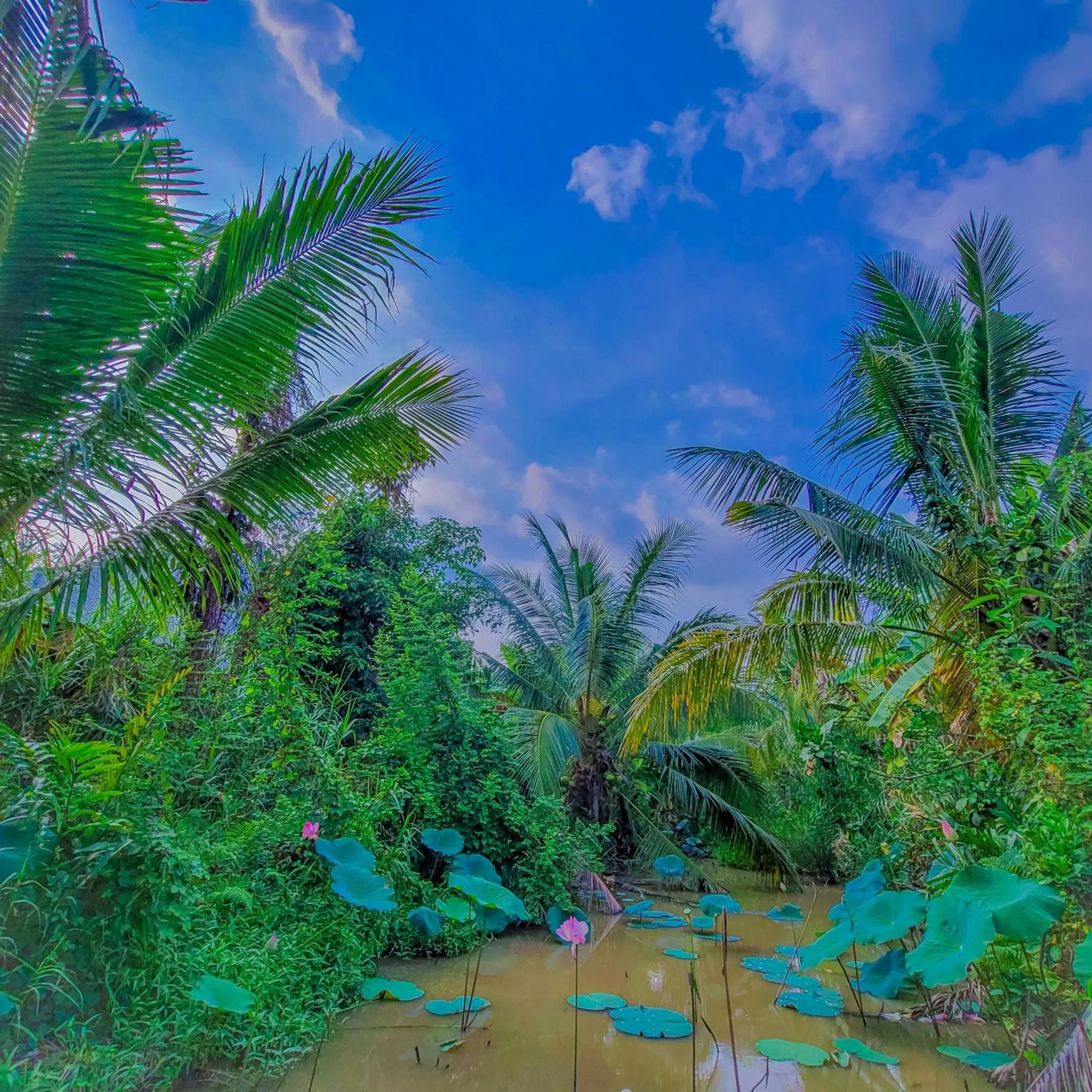 Day in CASA ECO Mekong Resort