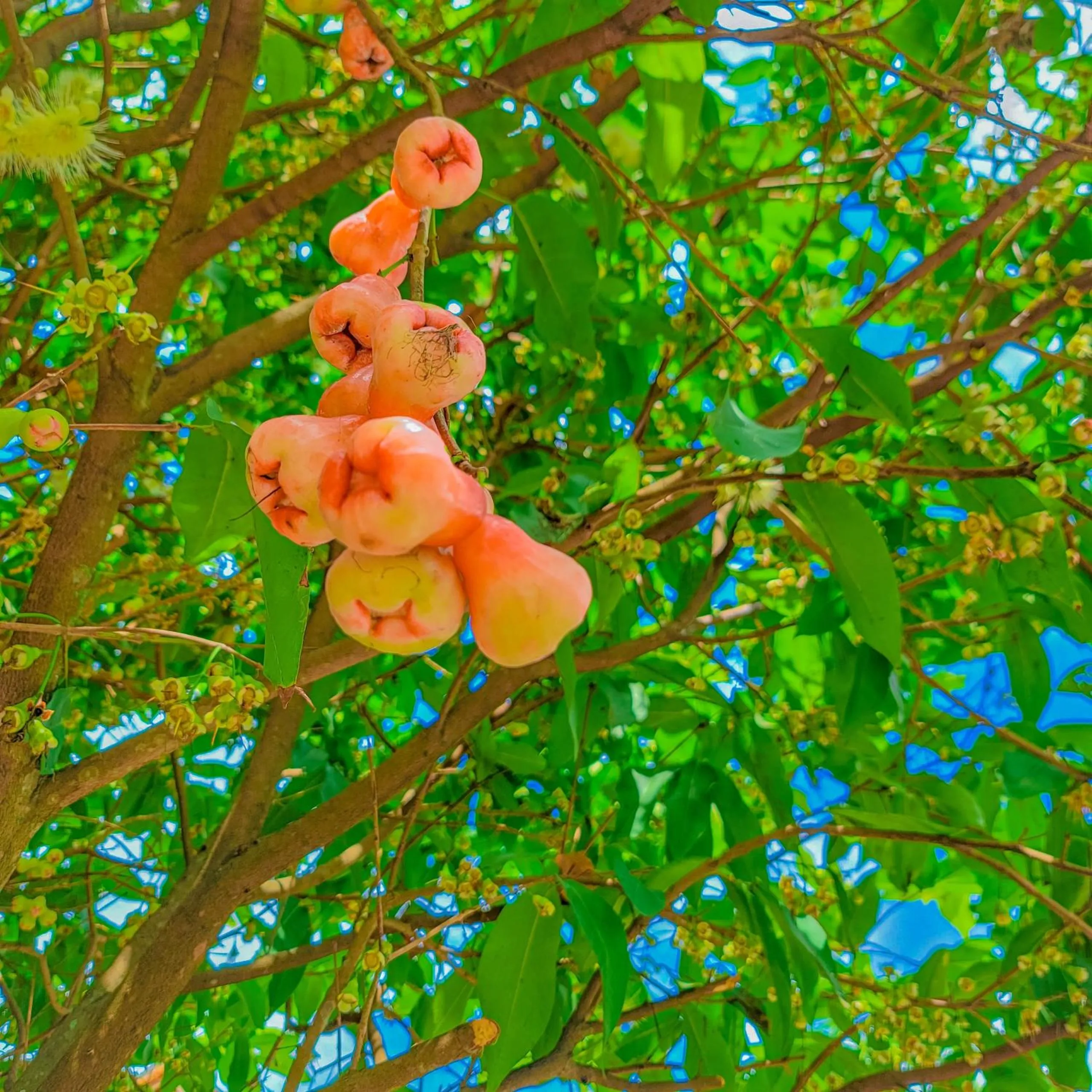 Natural landscape in CASA ECO Mekong Resort