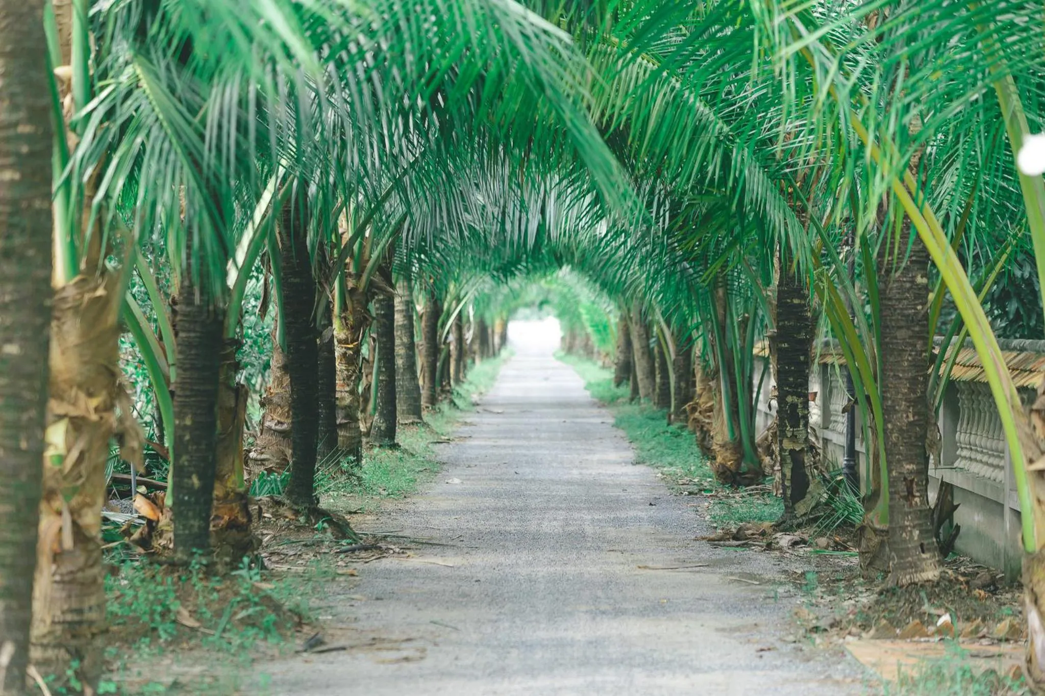 Natural landscape in CASA ECO Mekong Resort