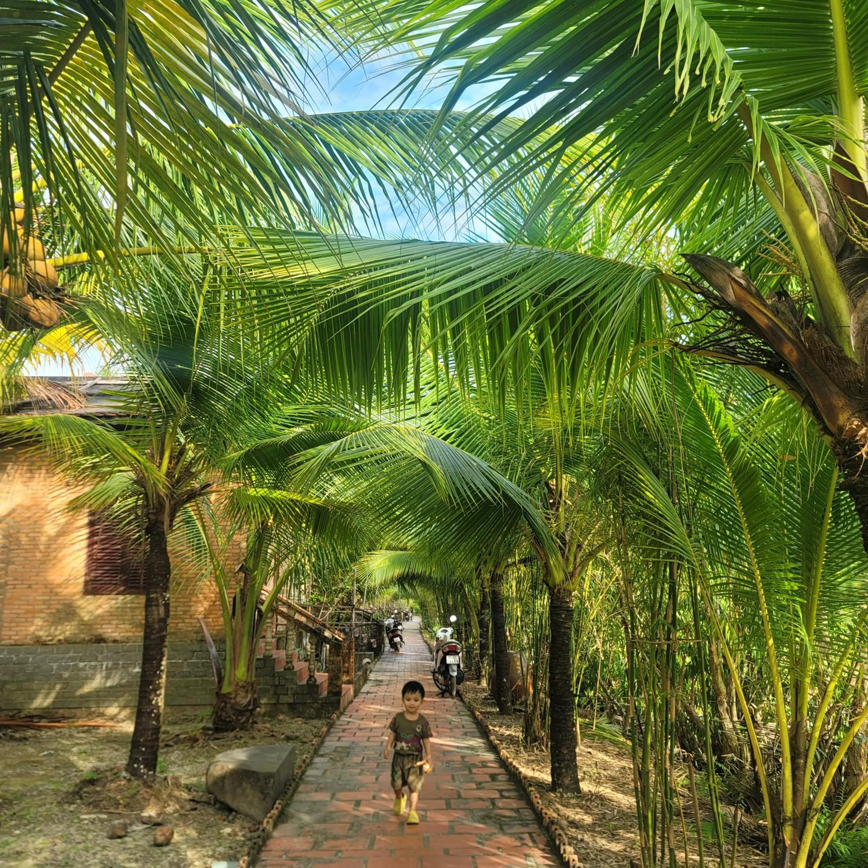 Natural landscape in CASA ECO Mekong Resort