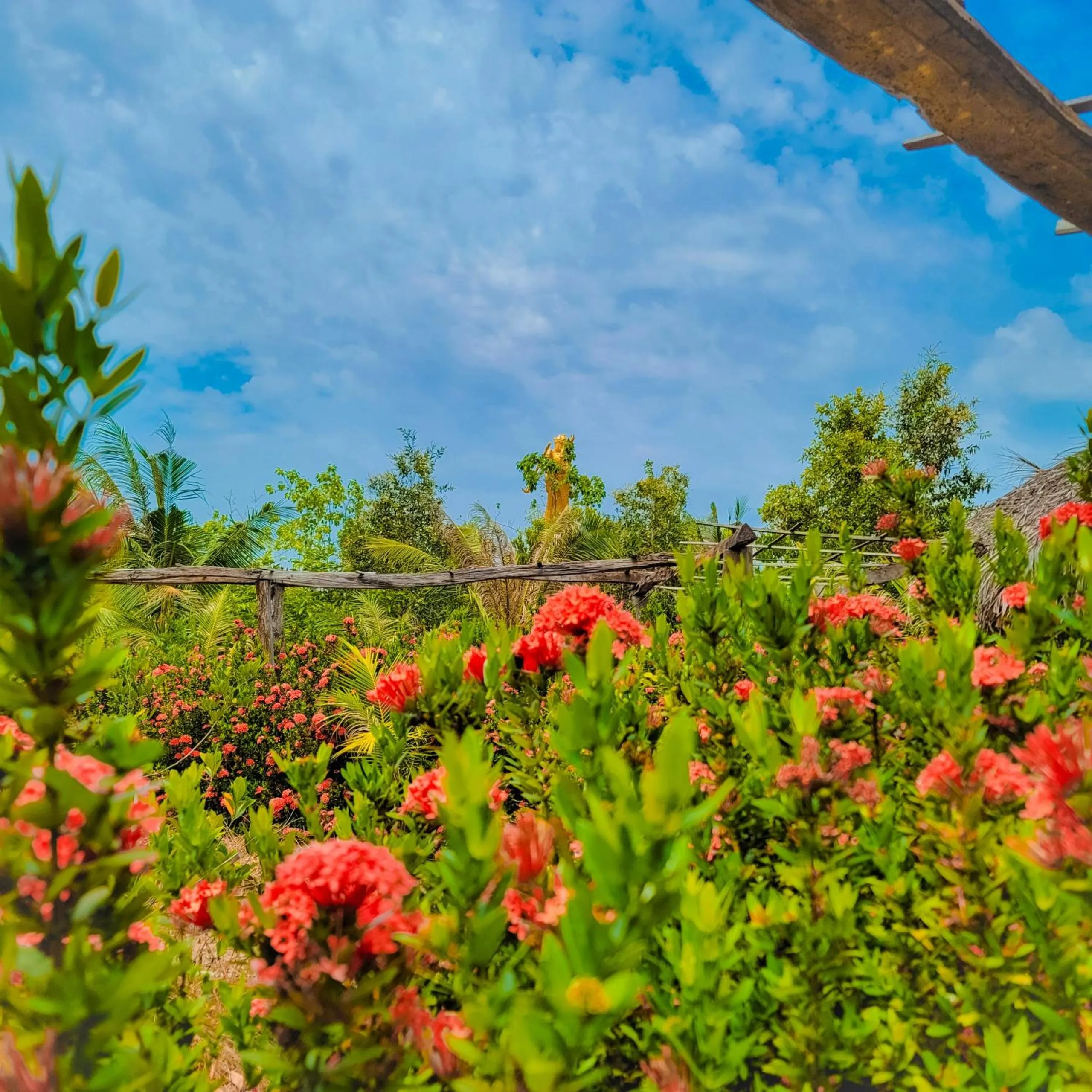 Natural landscape in CASA ECO Mekong Resort