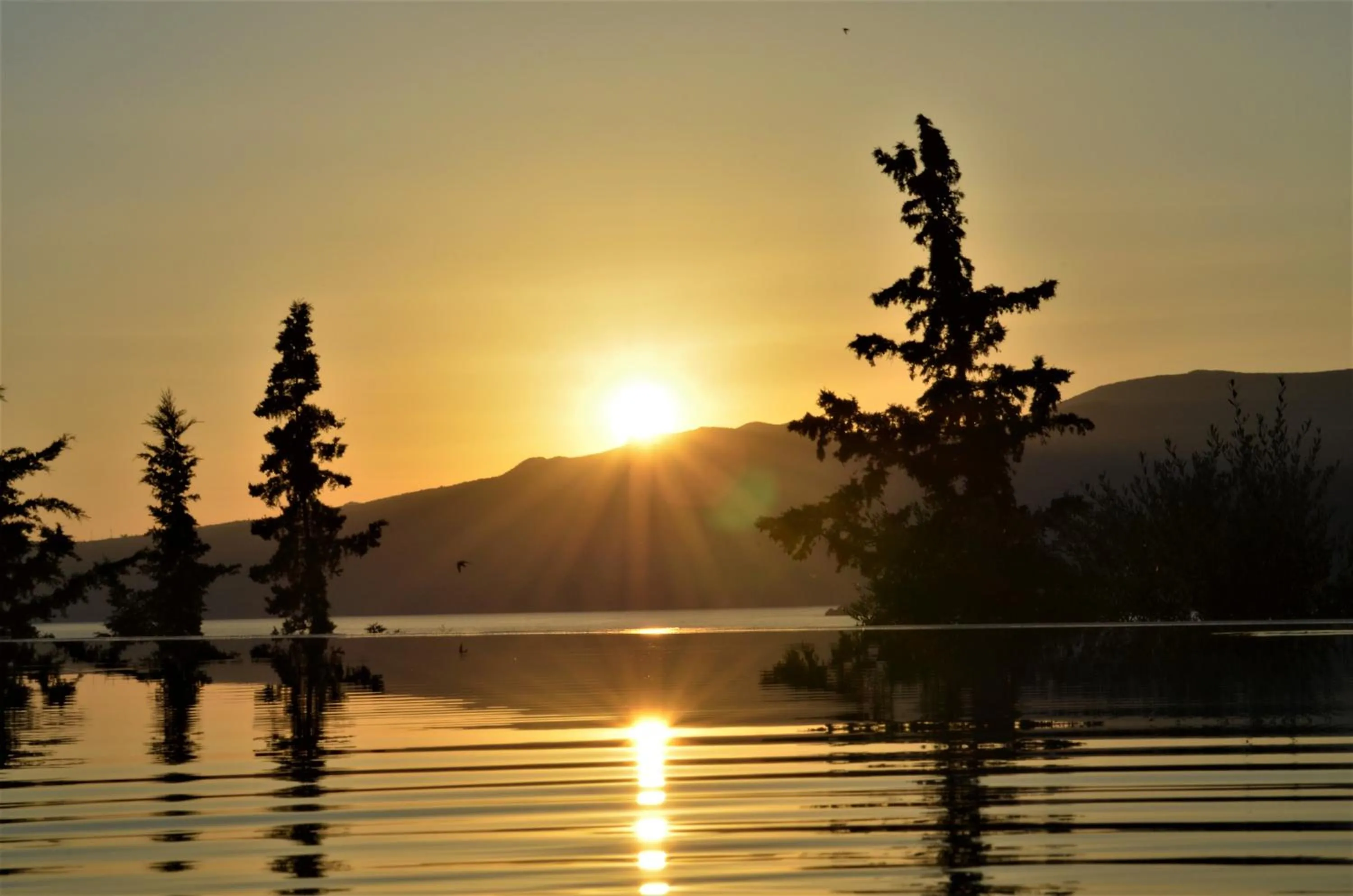 Natural landscape in Diapori Suites Hotel