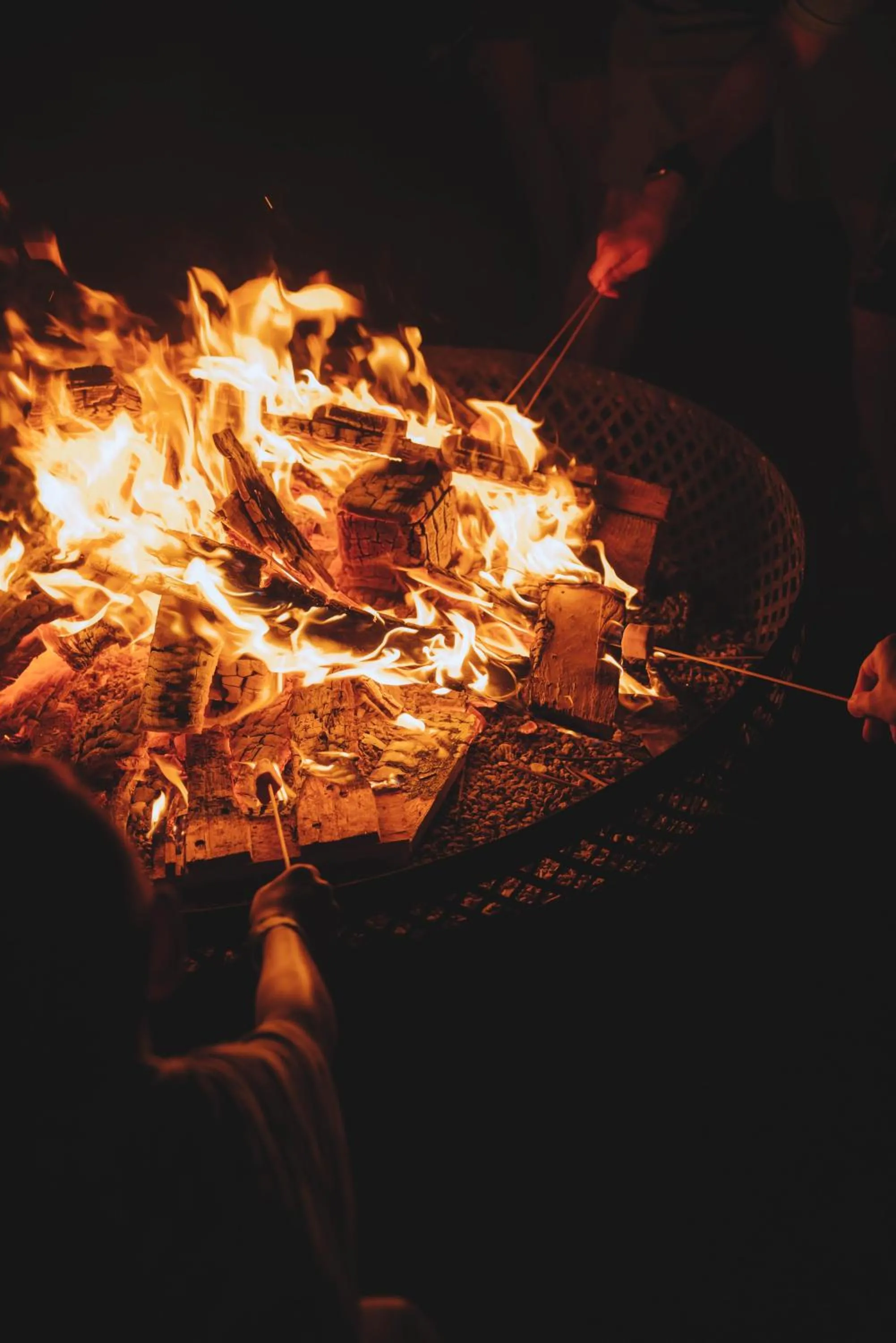 Activities in Solaya Kineret