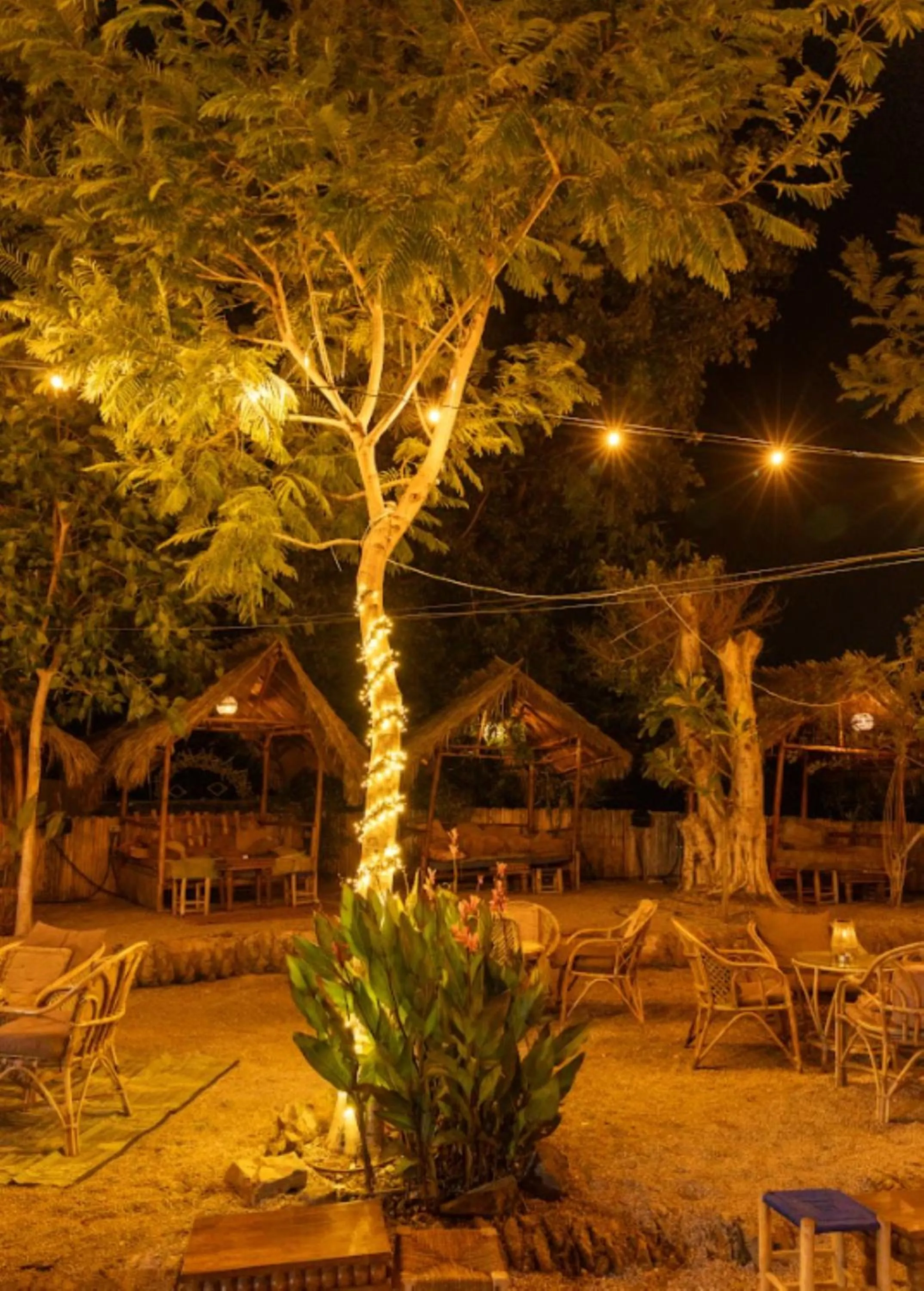 Night in Solaya Kineret