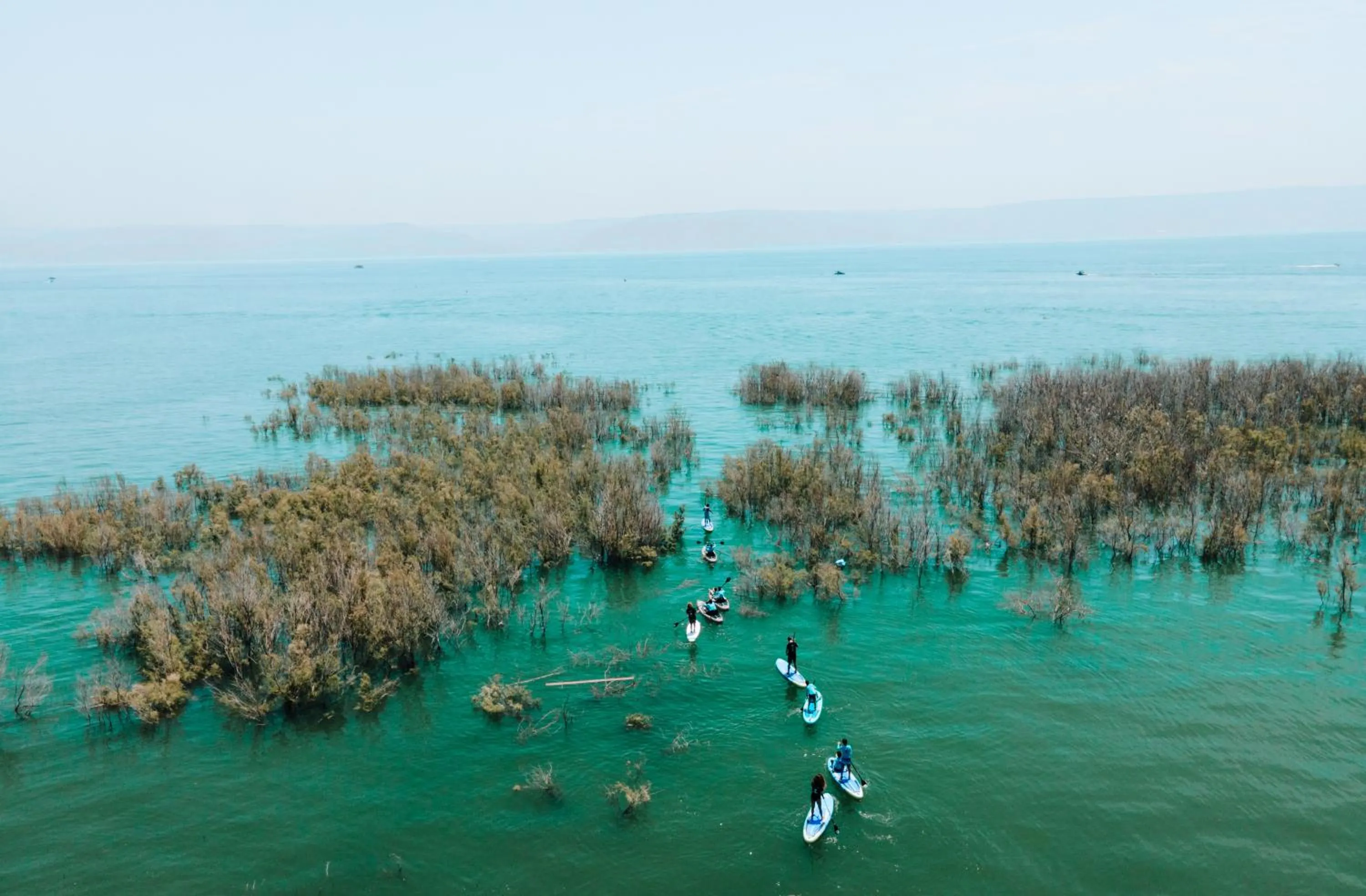 Day in Solaya Kineret