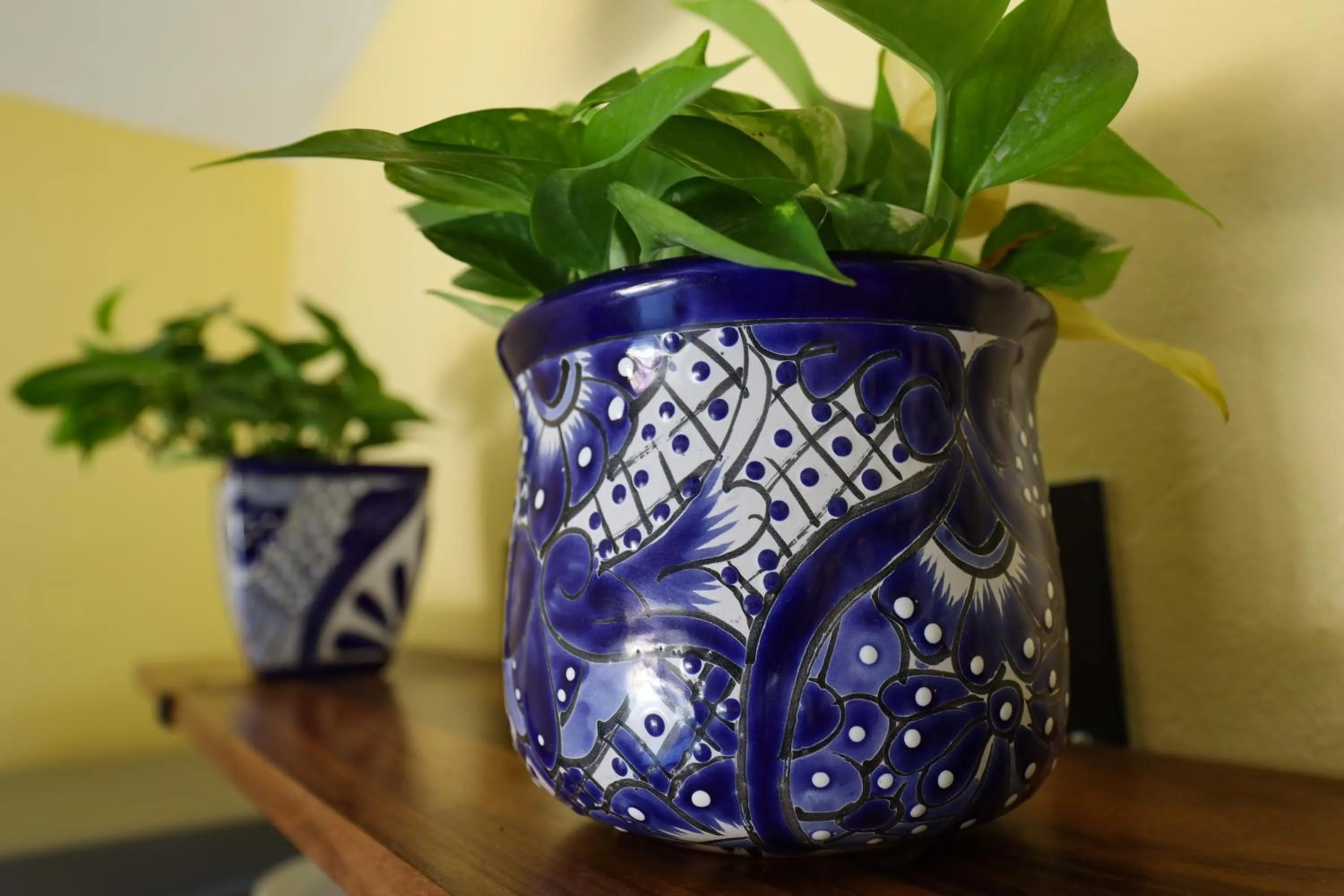 Decorative detail in Villas Pura Chacala