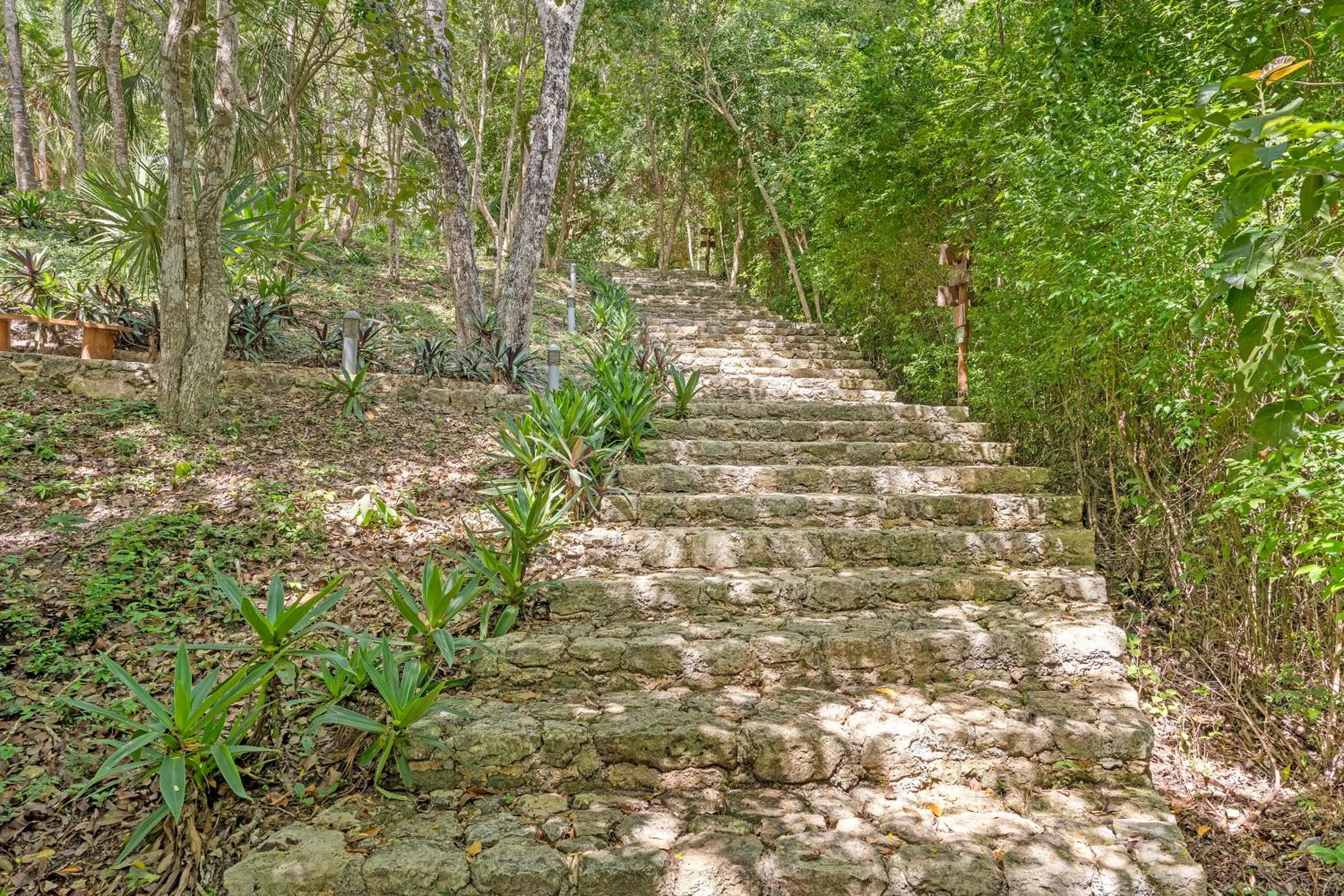 Natural landscape in MBH Maya Bacalar Hotel Boutique