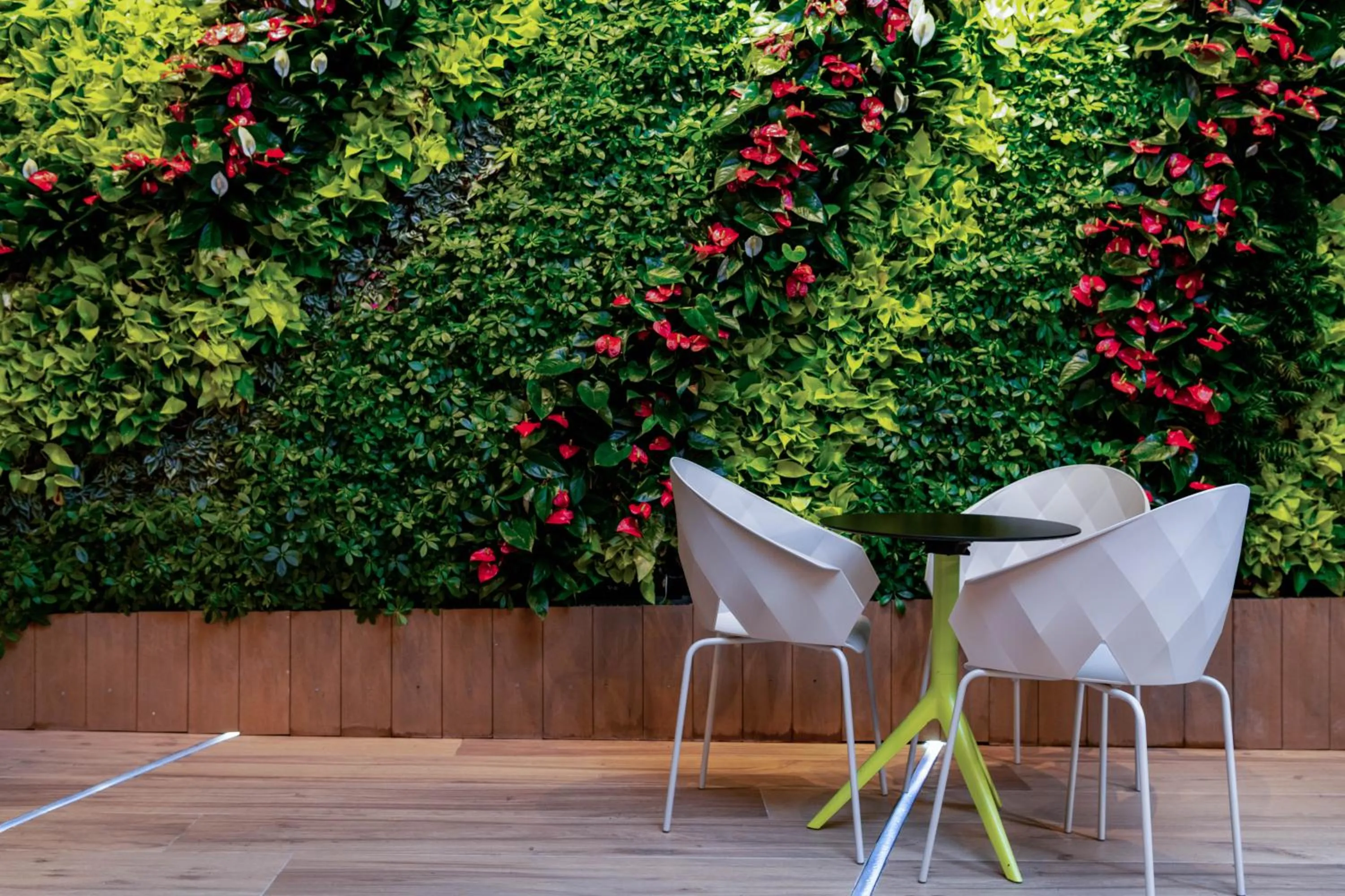 Food and drinks in OASIS AVENUE - A GDH HOTEL