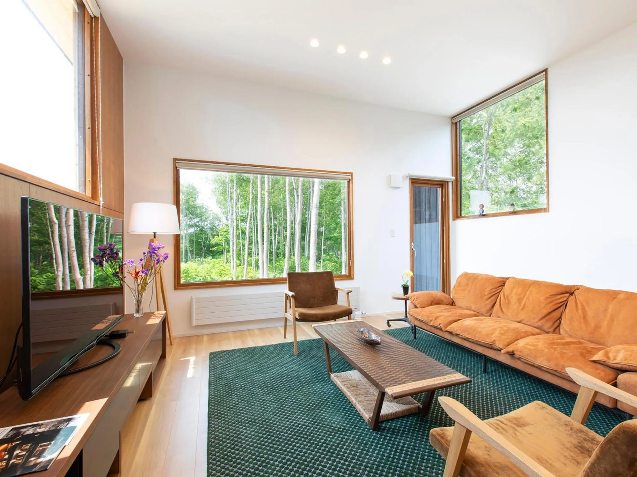 TV and multimedia in Birchwood Chalet