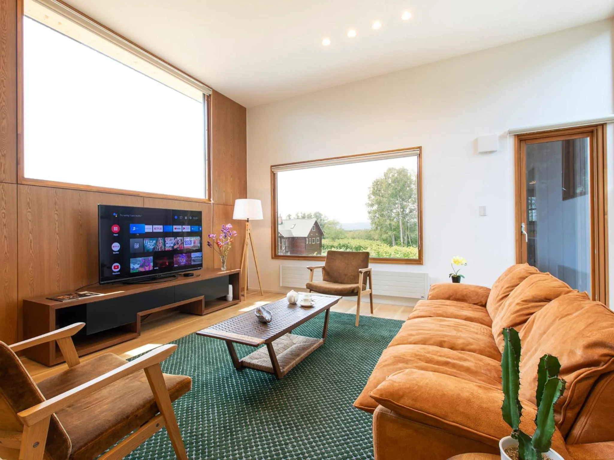 TV and multimedia in Birchwood Chalet