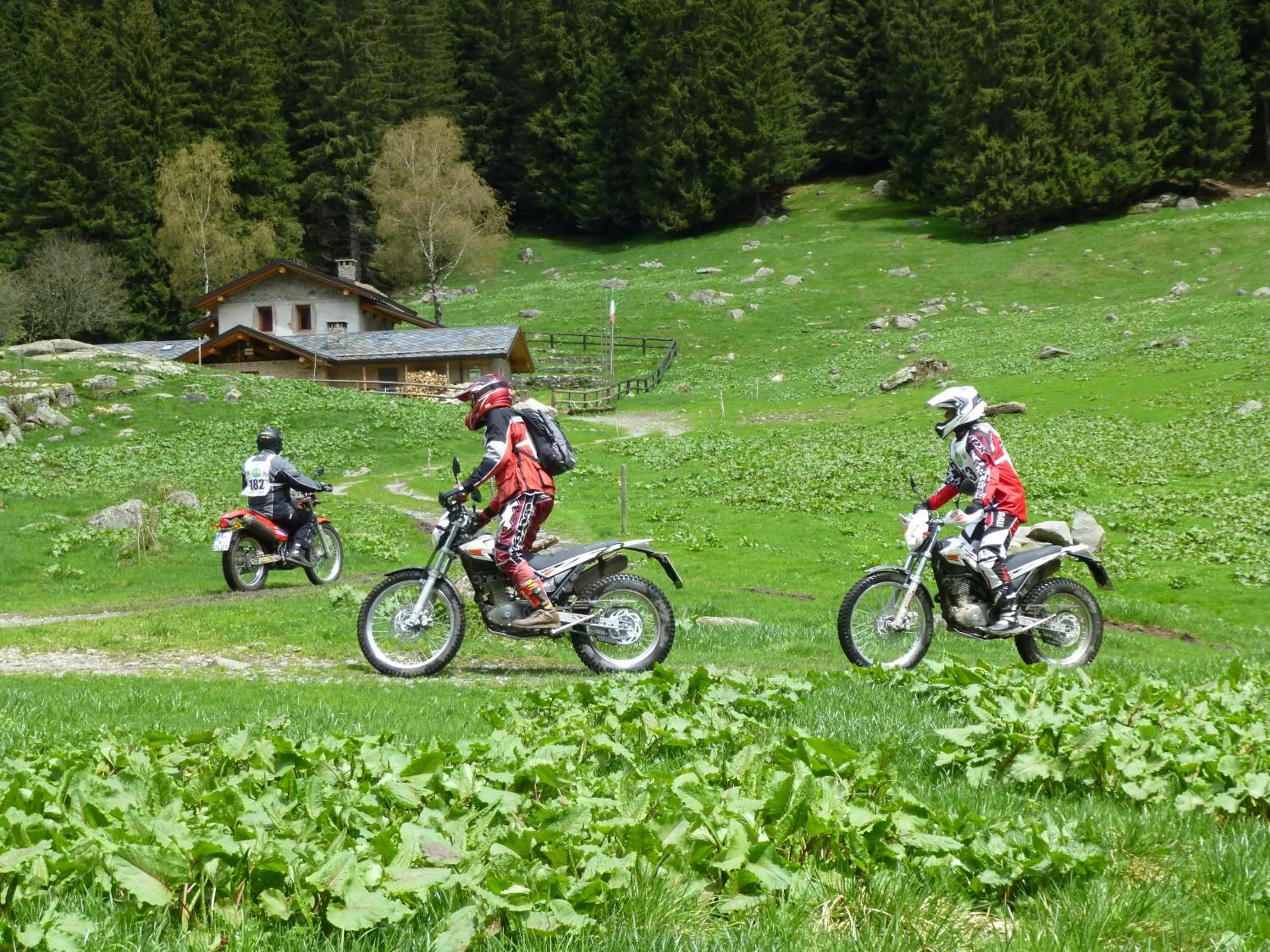 group of guests in Hotel Oasi Verde