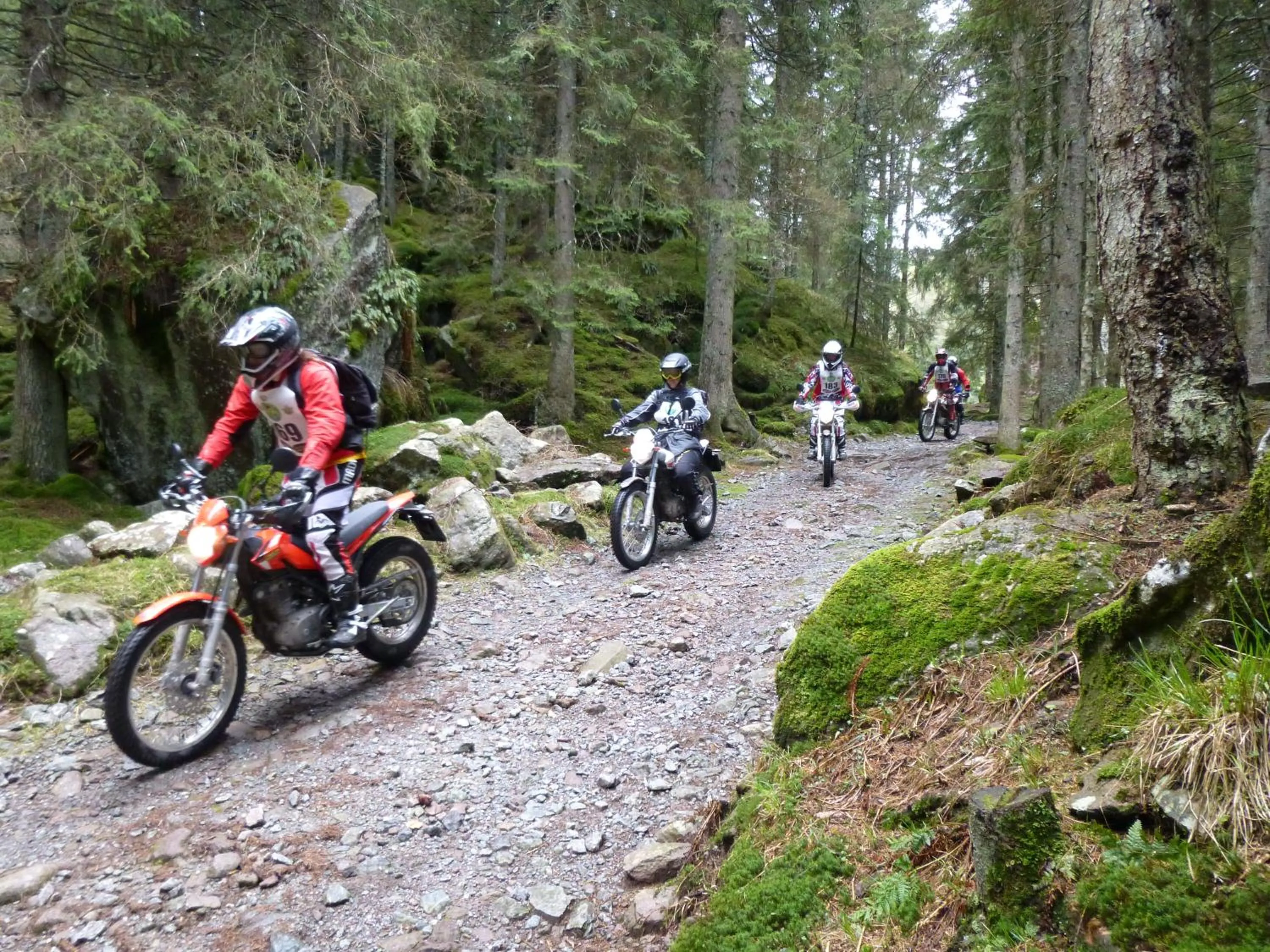 group of guests in Hotel Oasi Verde