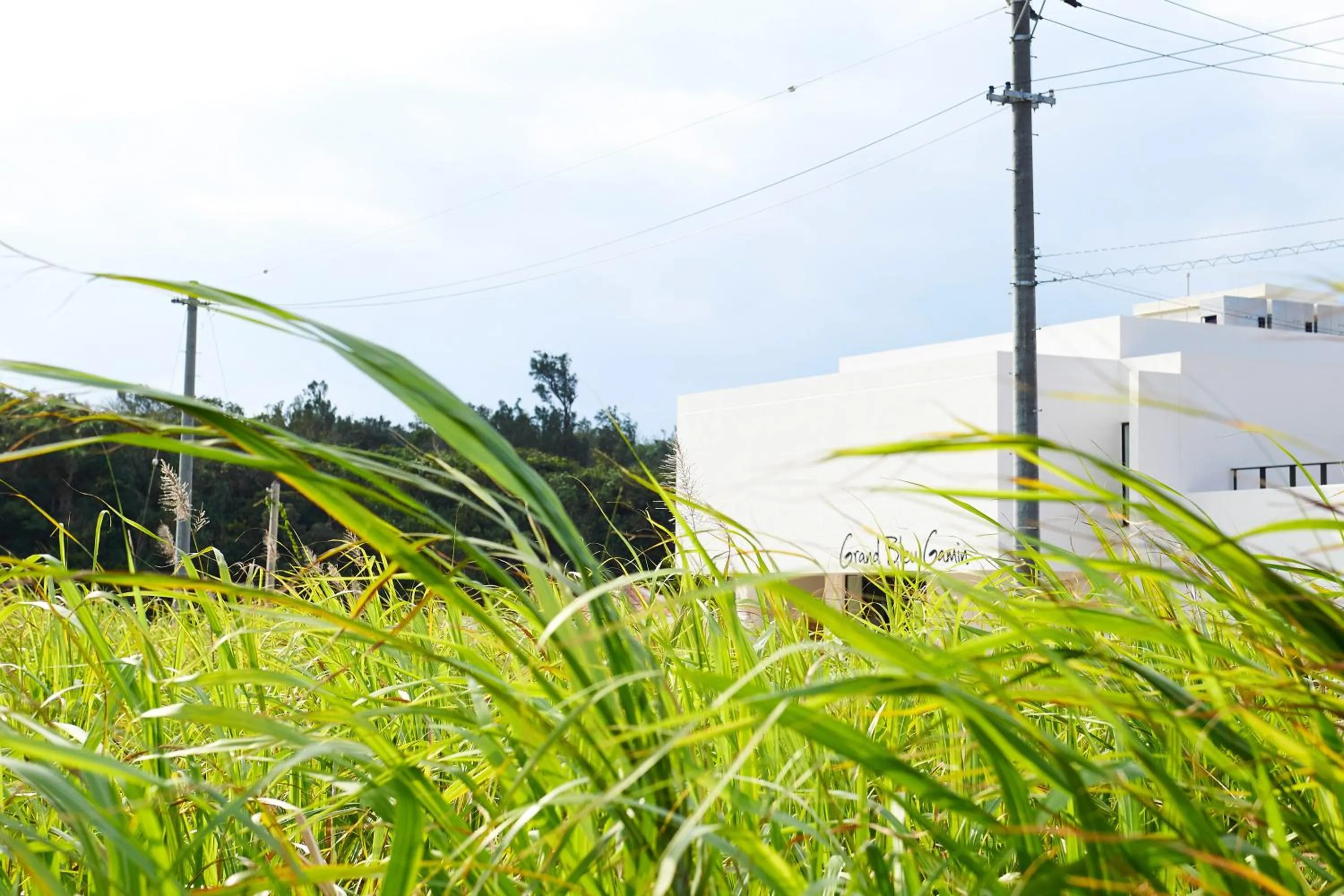 Facade/entrance in Grand Bleu Gamin