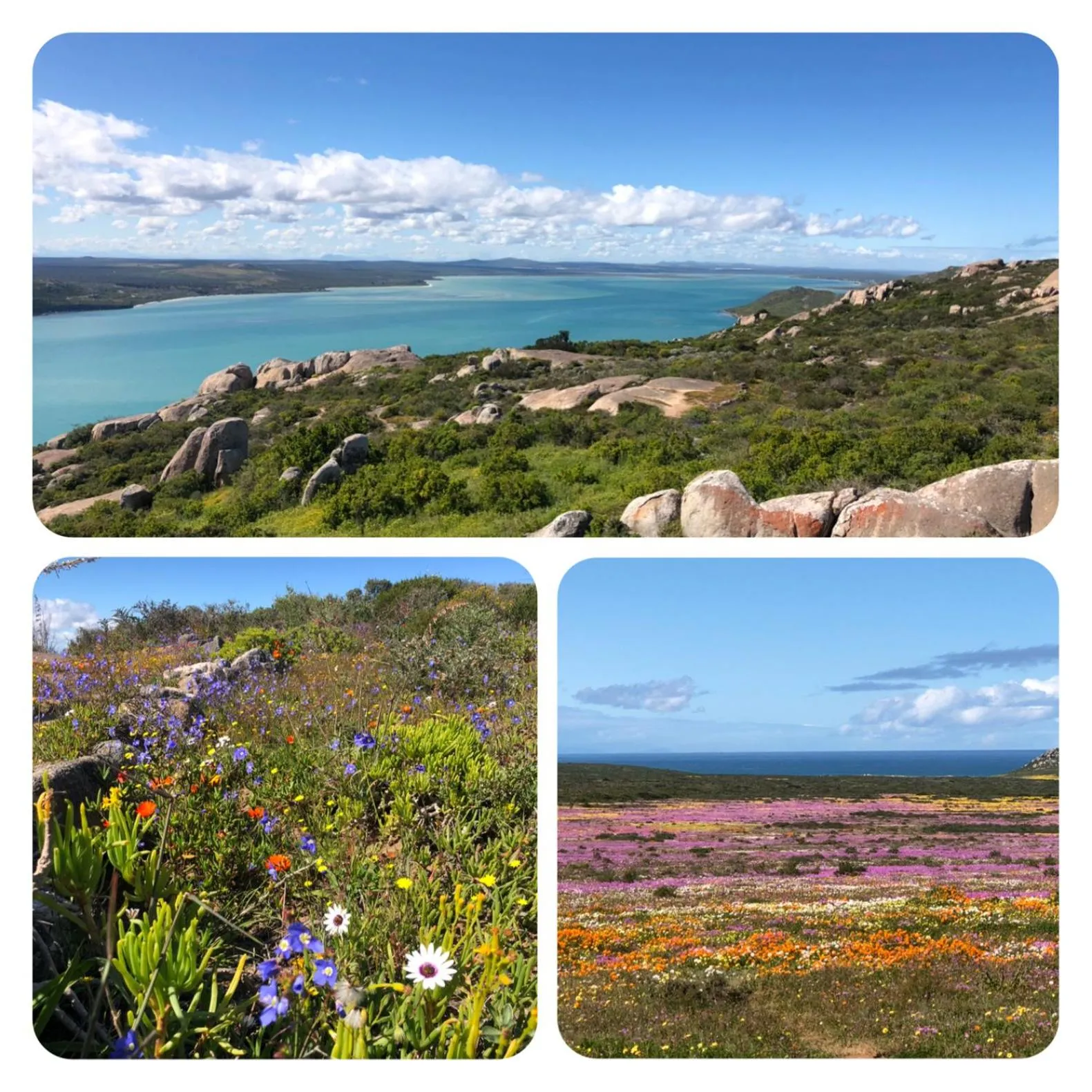 Nearby landmark in The Little Palm