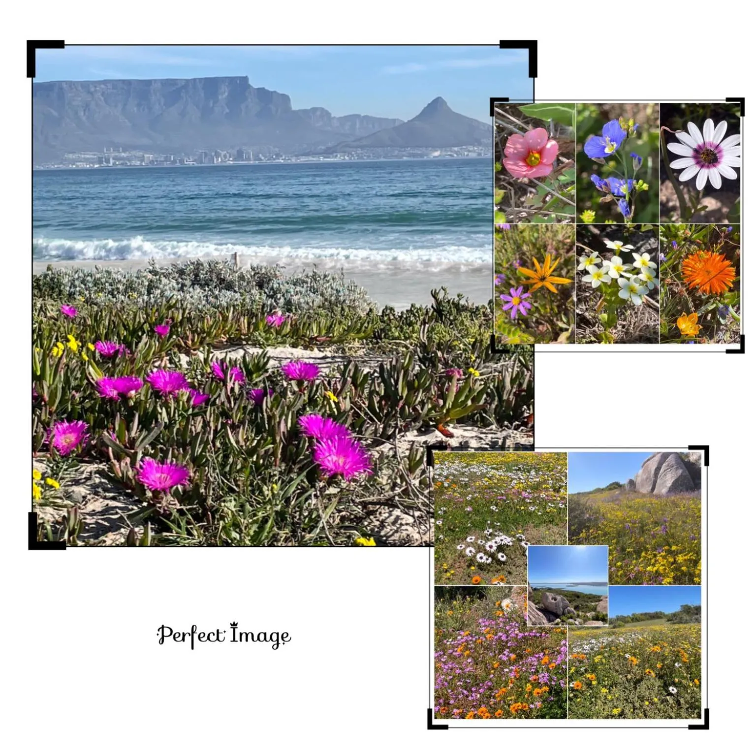 Natural landscape in The Little Palm