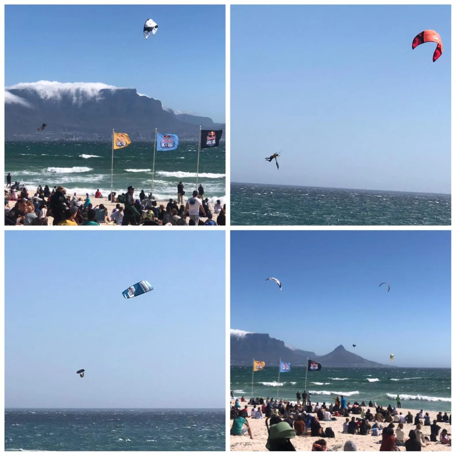 Activities in The Little Palm