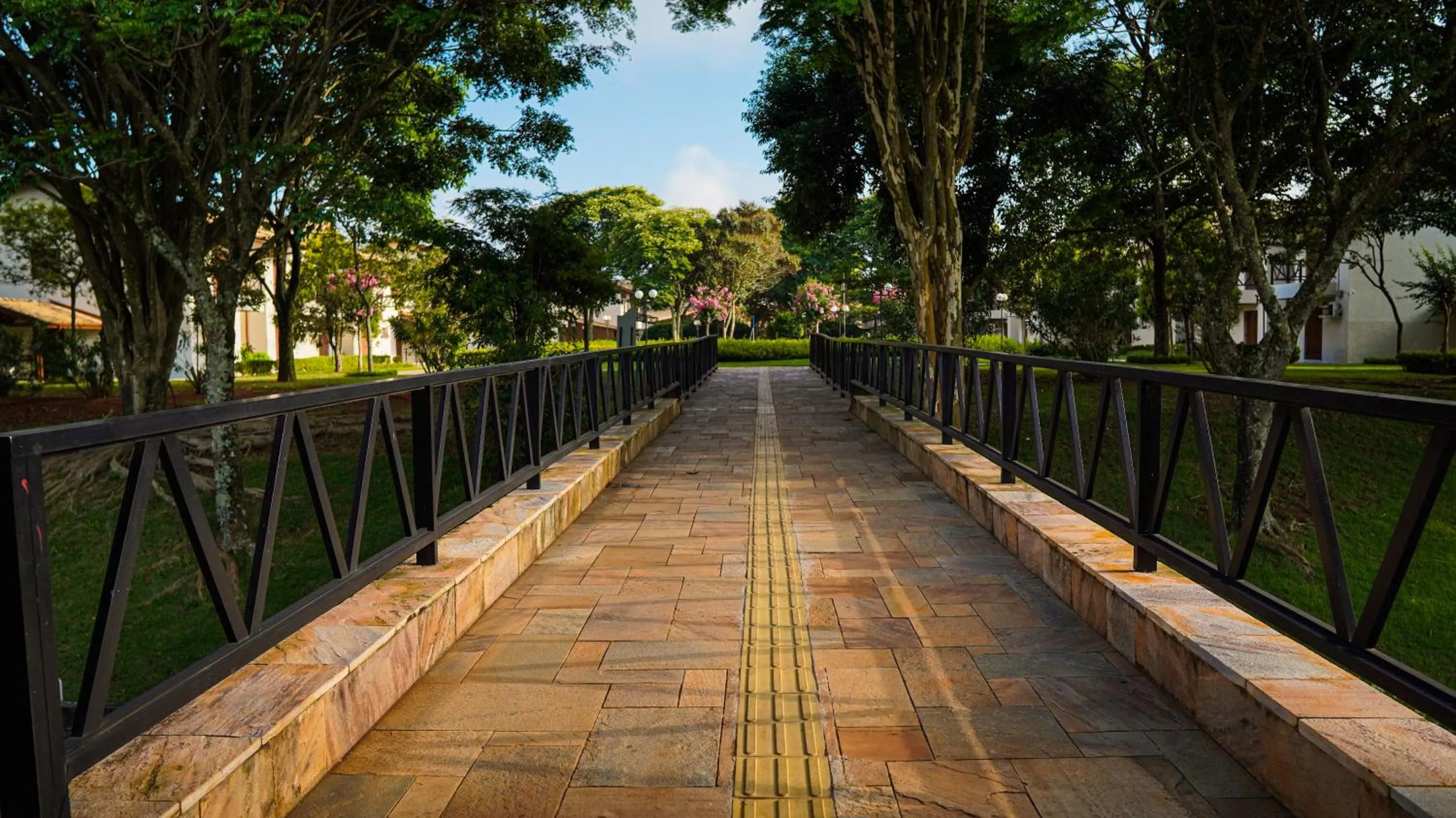 Garden in Hotel Villa Santo Agostinho