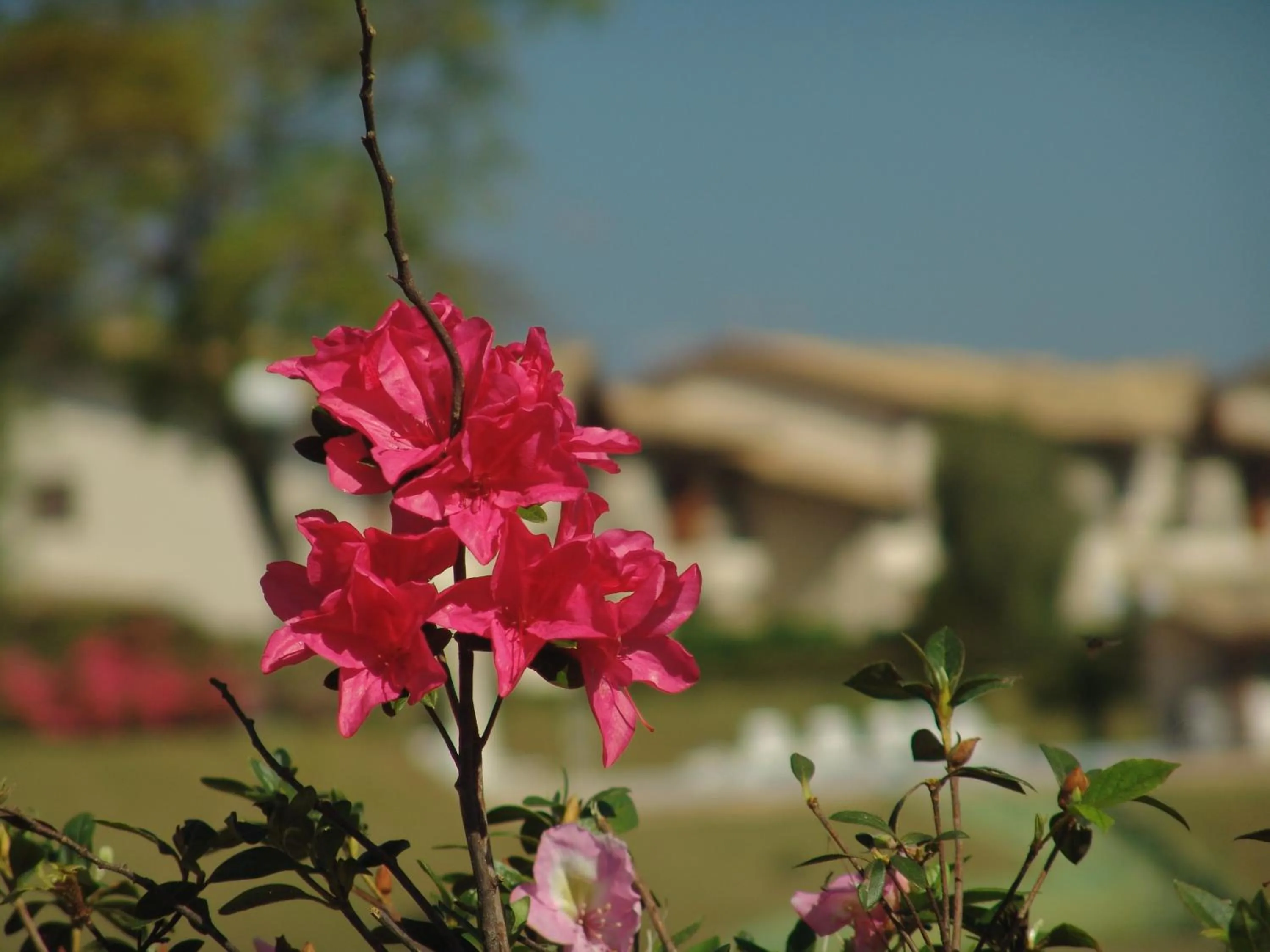 Hotel Villa Santo Agostinho