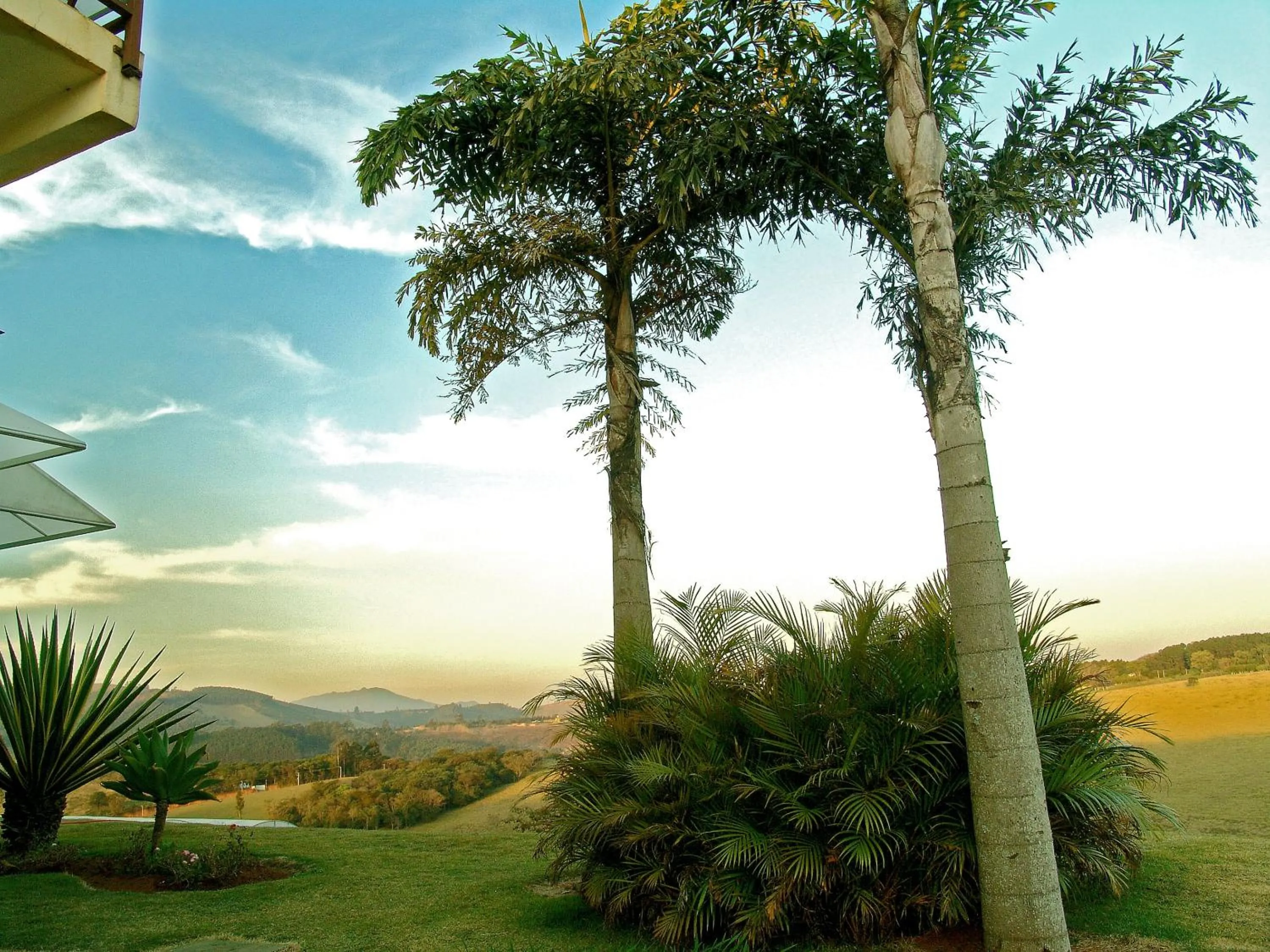 Garden in Hotel Villa Santo Agostinho