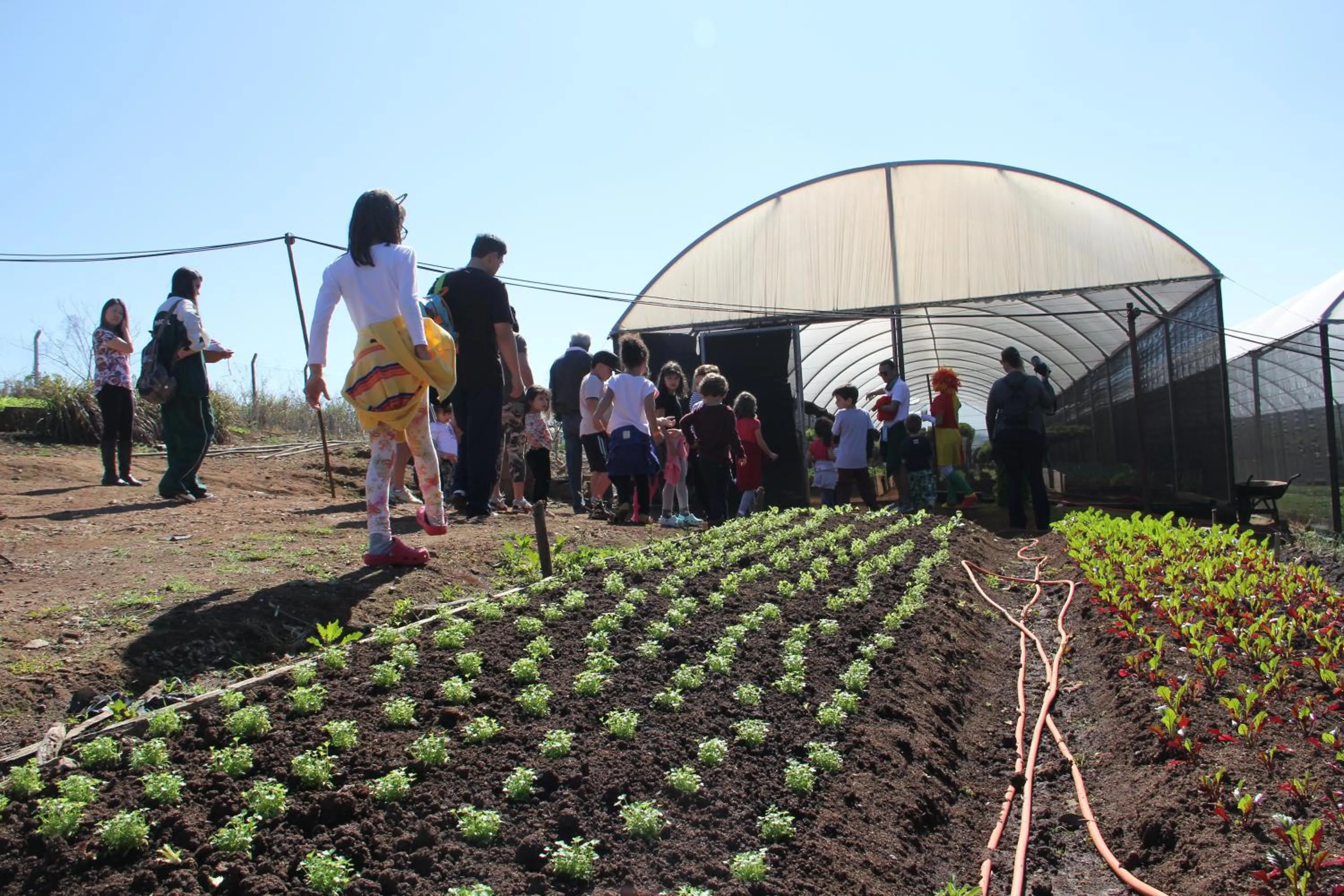 Activities in Hotel Villa Santo Agostinho