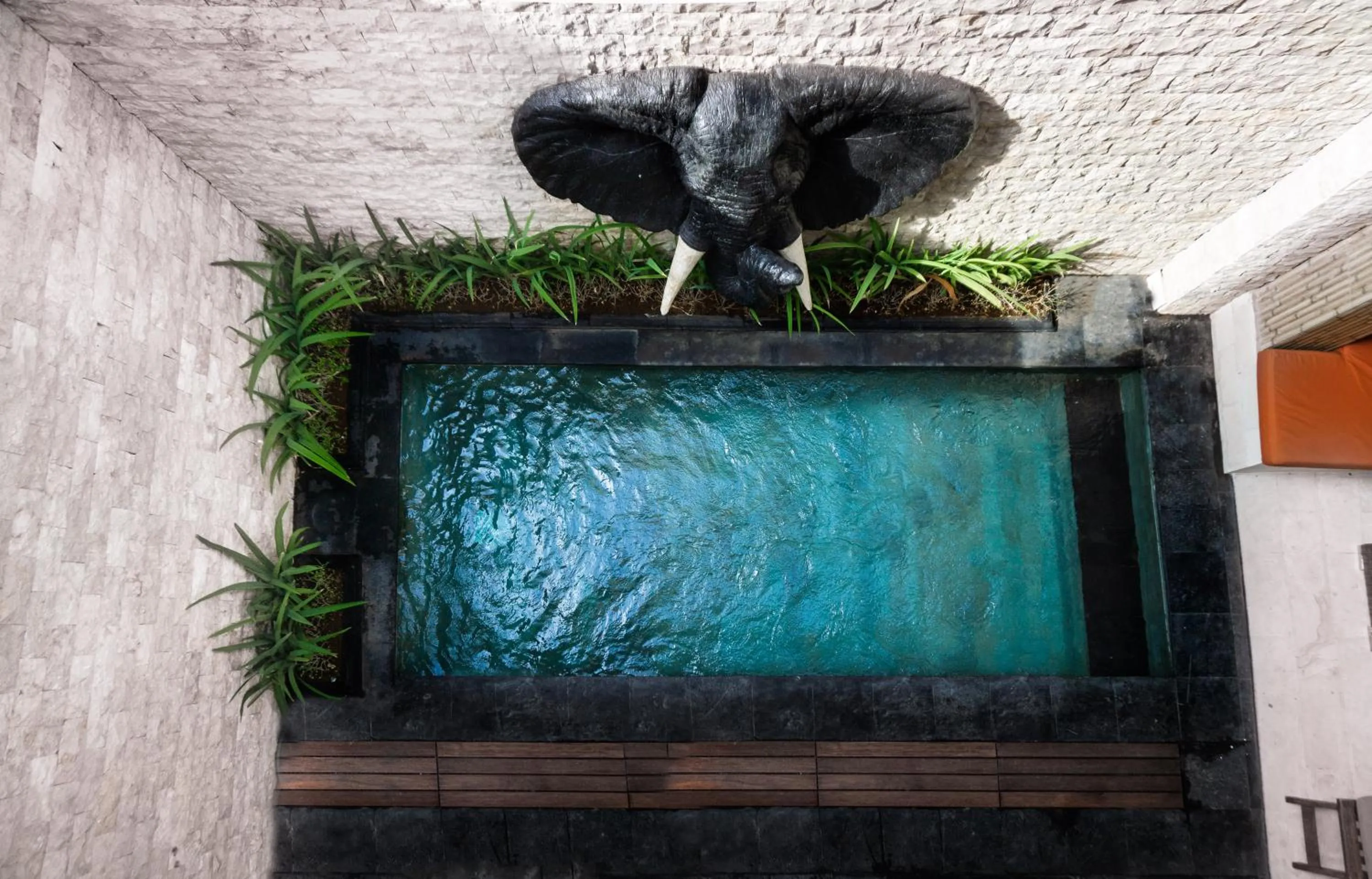 Pool view in Colibry