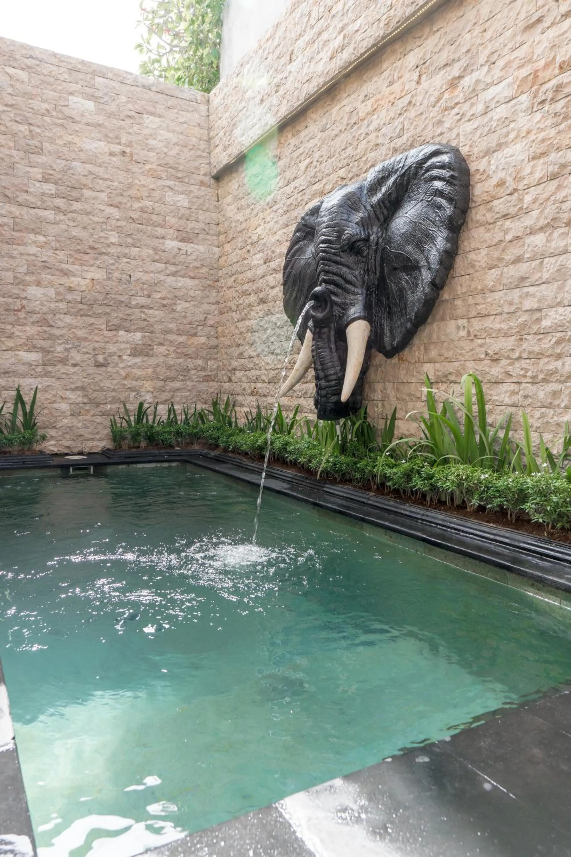 Swimming pool in Colibry