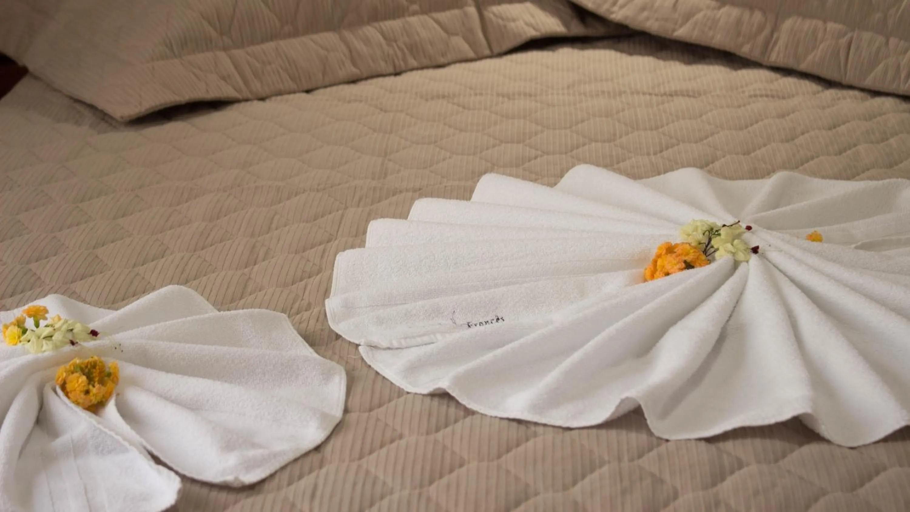 Decorative detail, Bed in Pousada do Francês