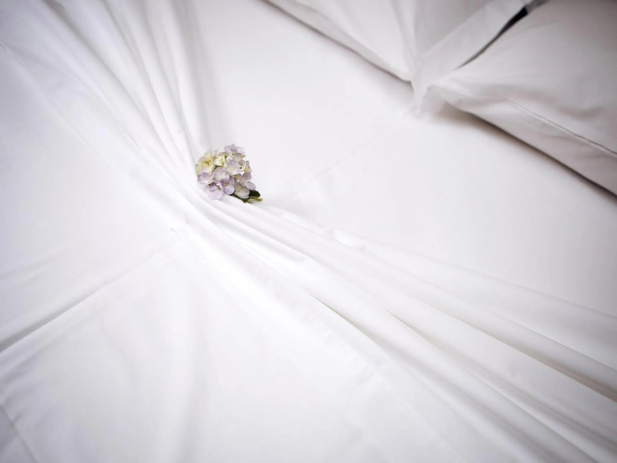Decorative detail, Bed in Pousada do Francês