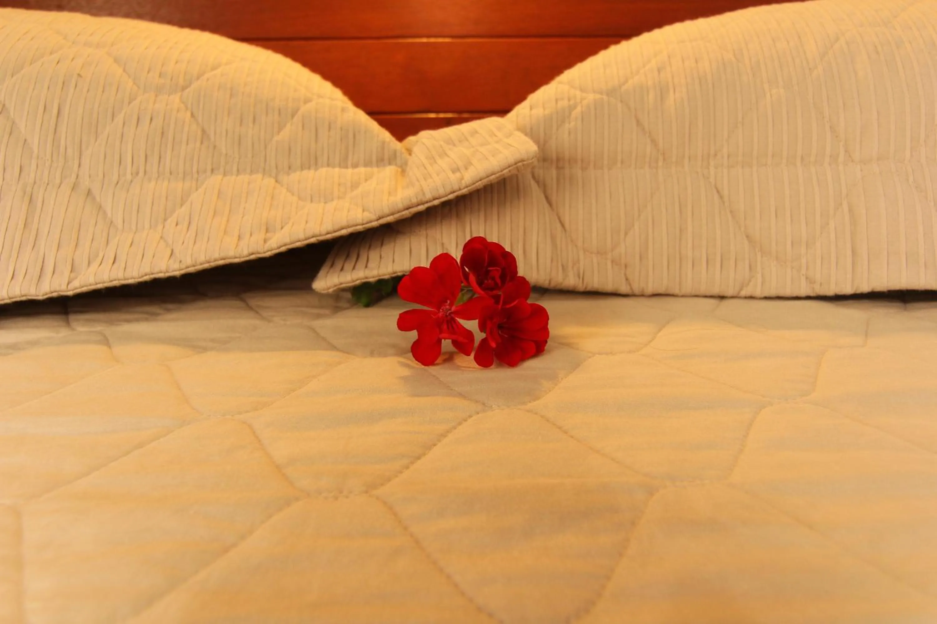 Bed in Pousada do Francês