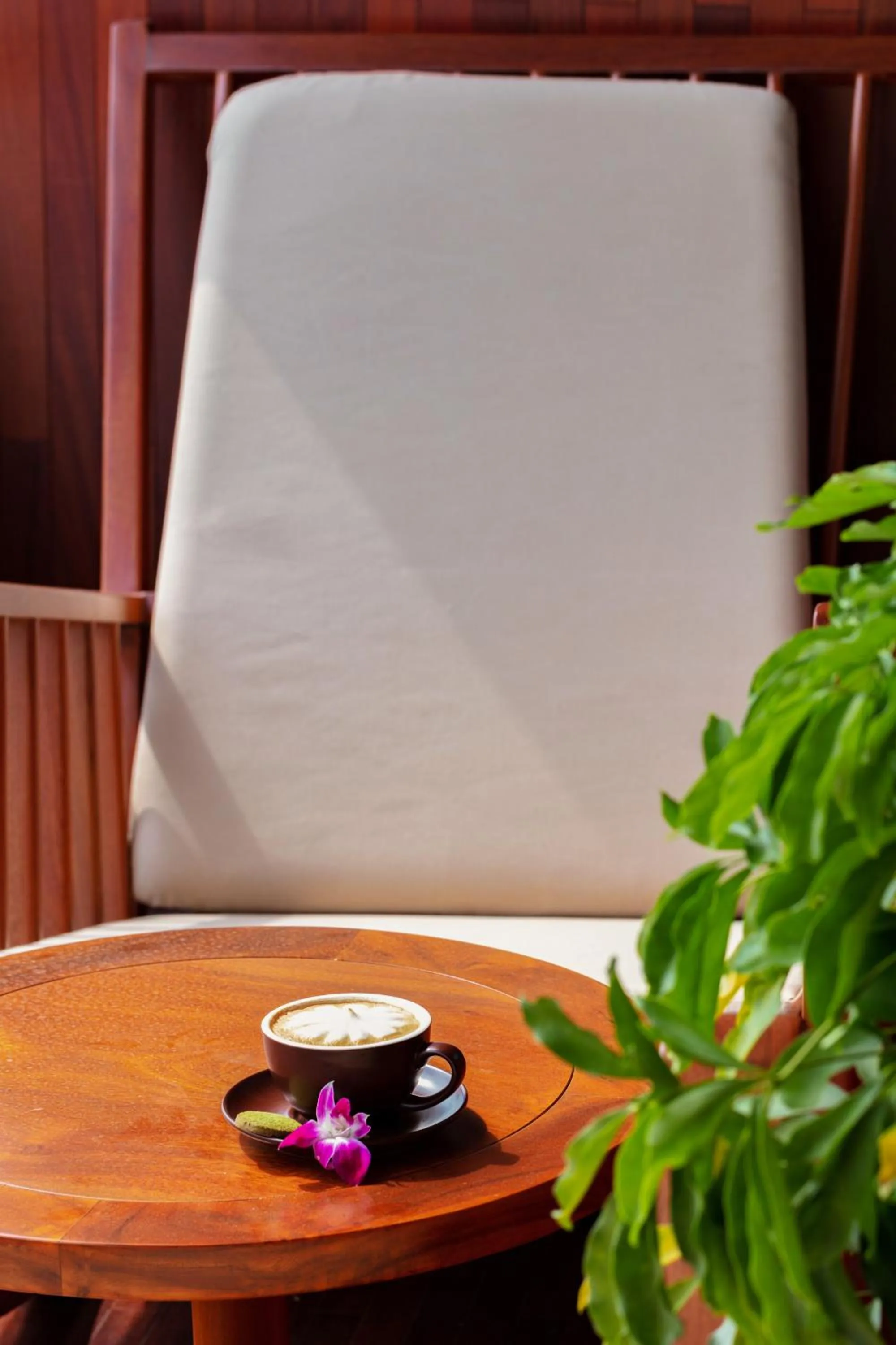 Seating area in Orchid Premium Cruise