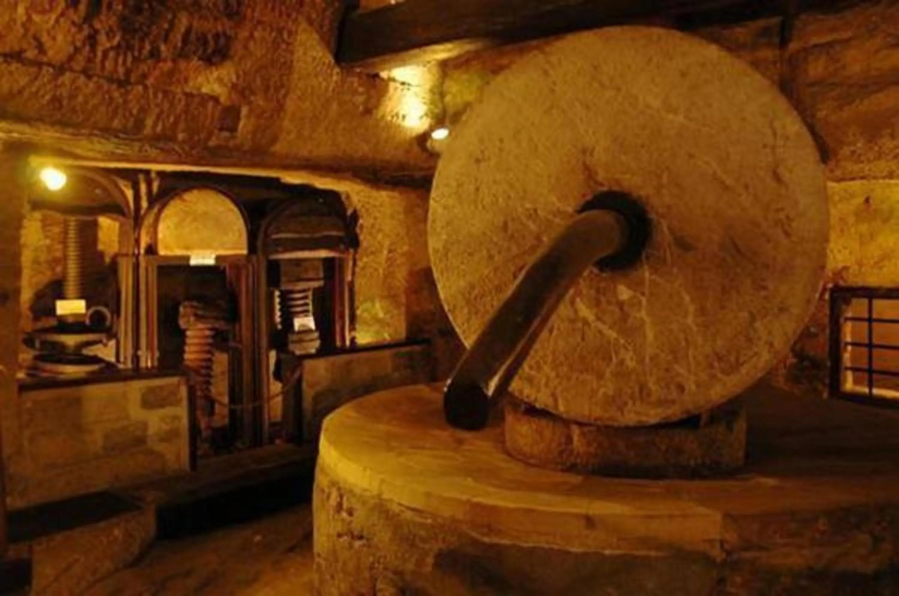 Activities in Barone Liberty & Luxury SPA-Boutique Hotel