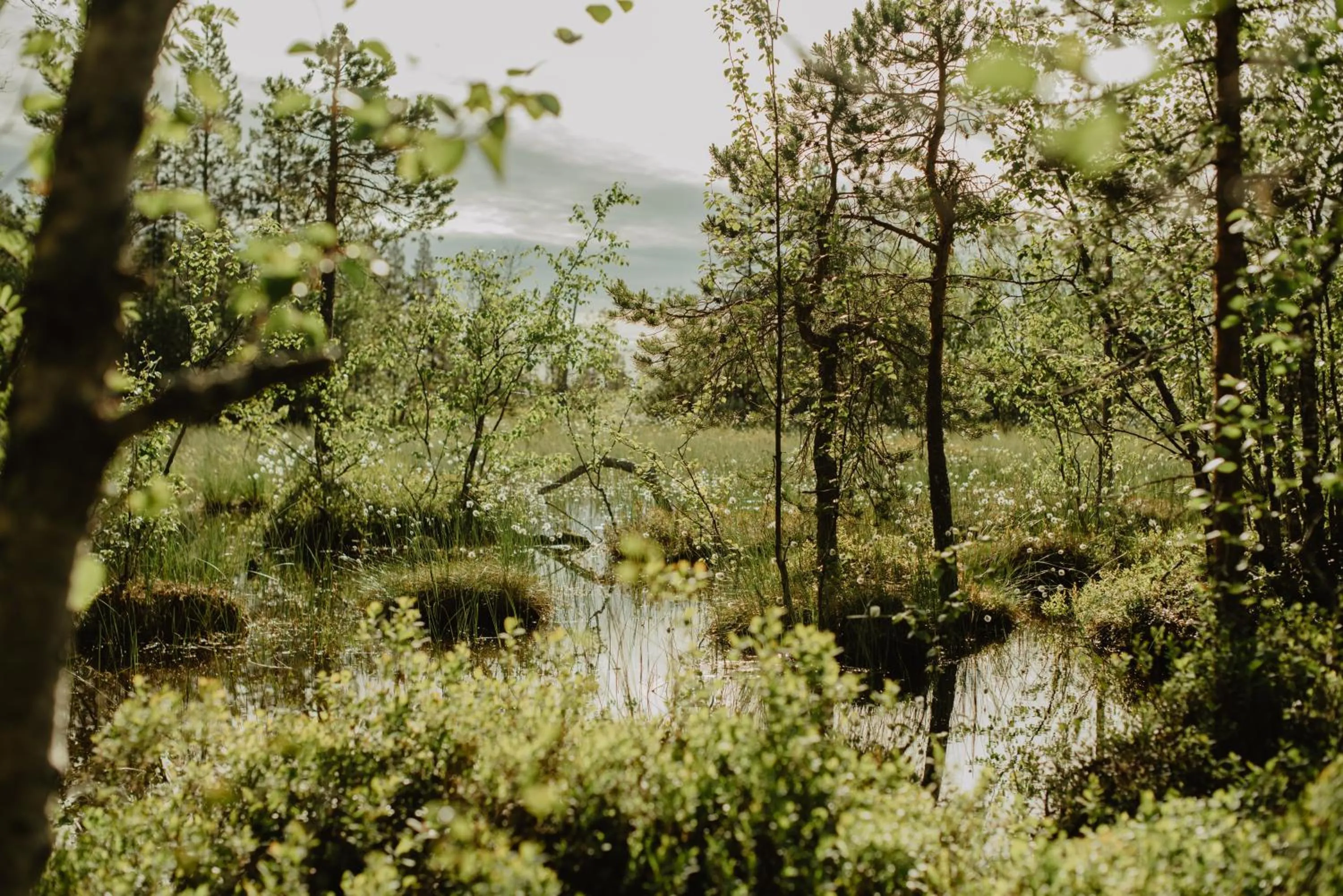 Turistgården Särna