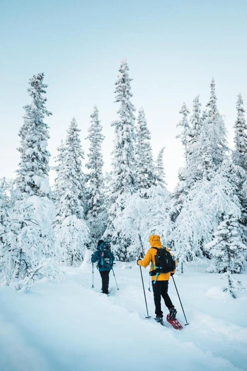 Winter in Turistgården Särna