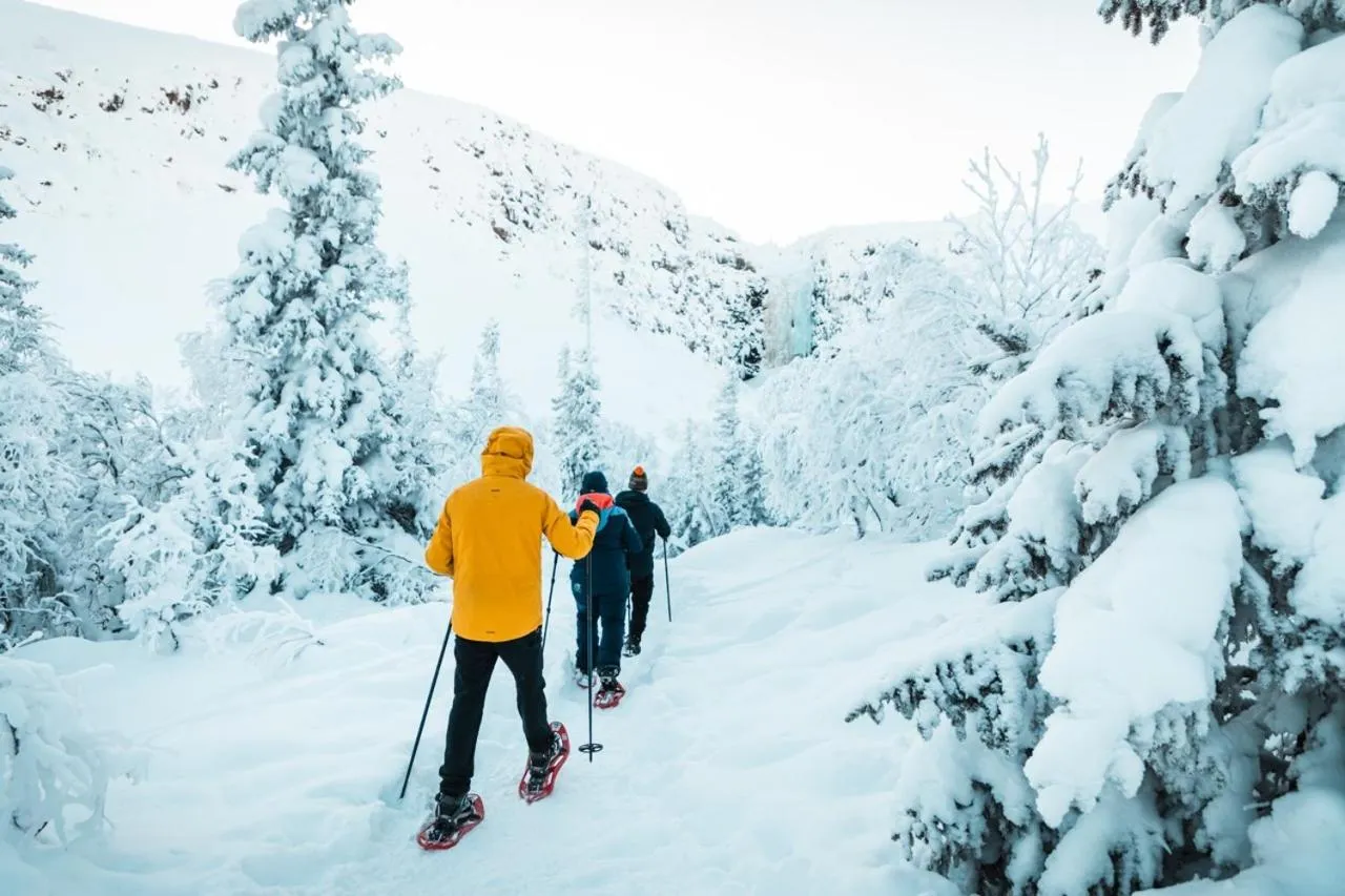 Winter in Turistgården Särna