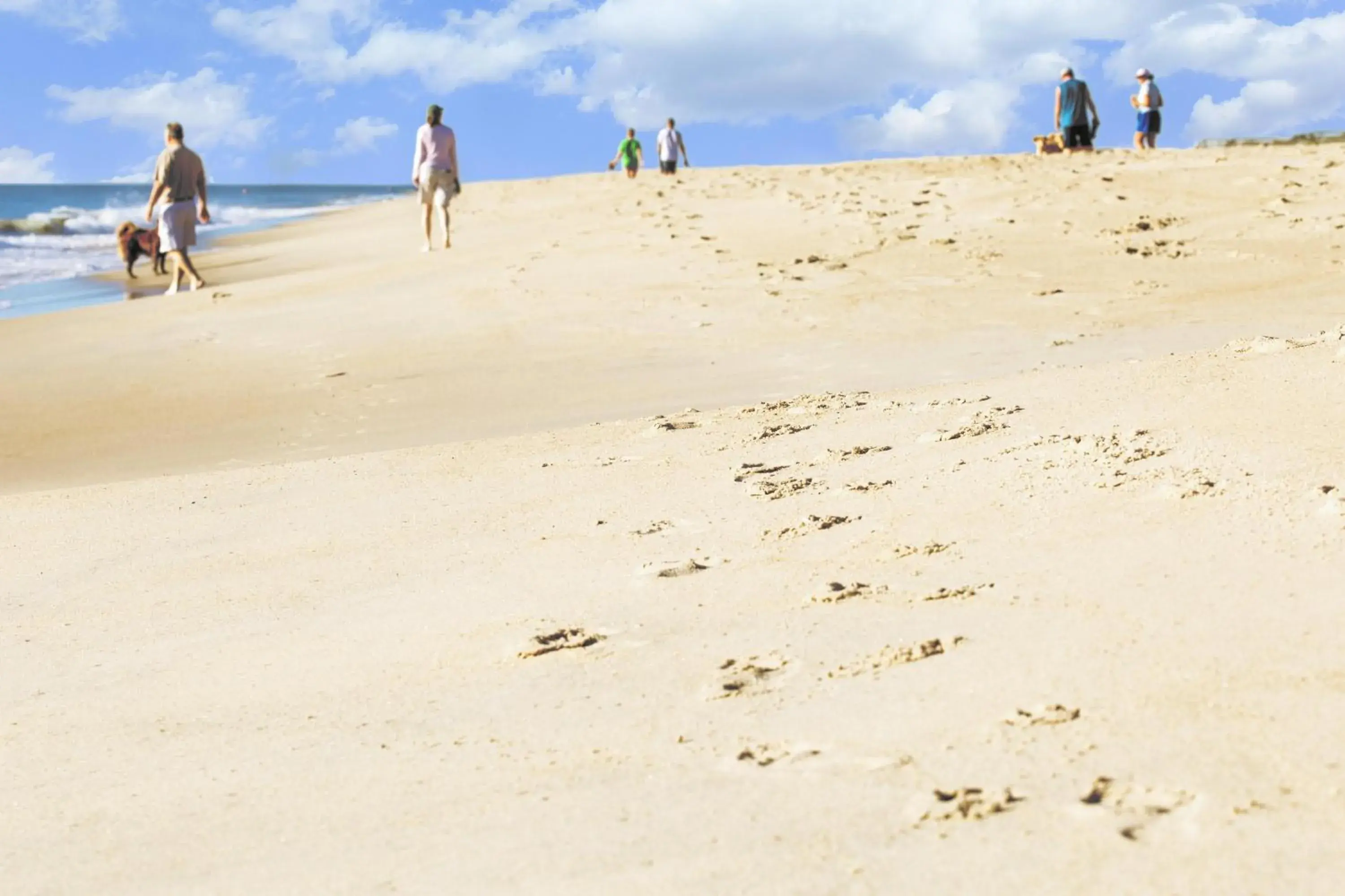 Hyatt Place Dewey Beach Hyatt Place Dewey Beach