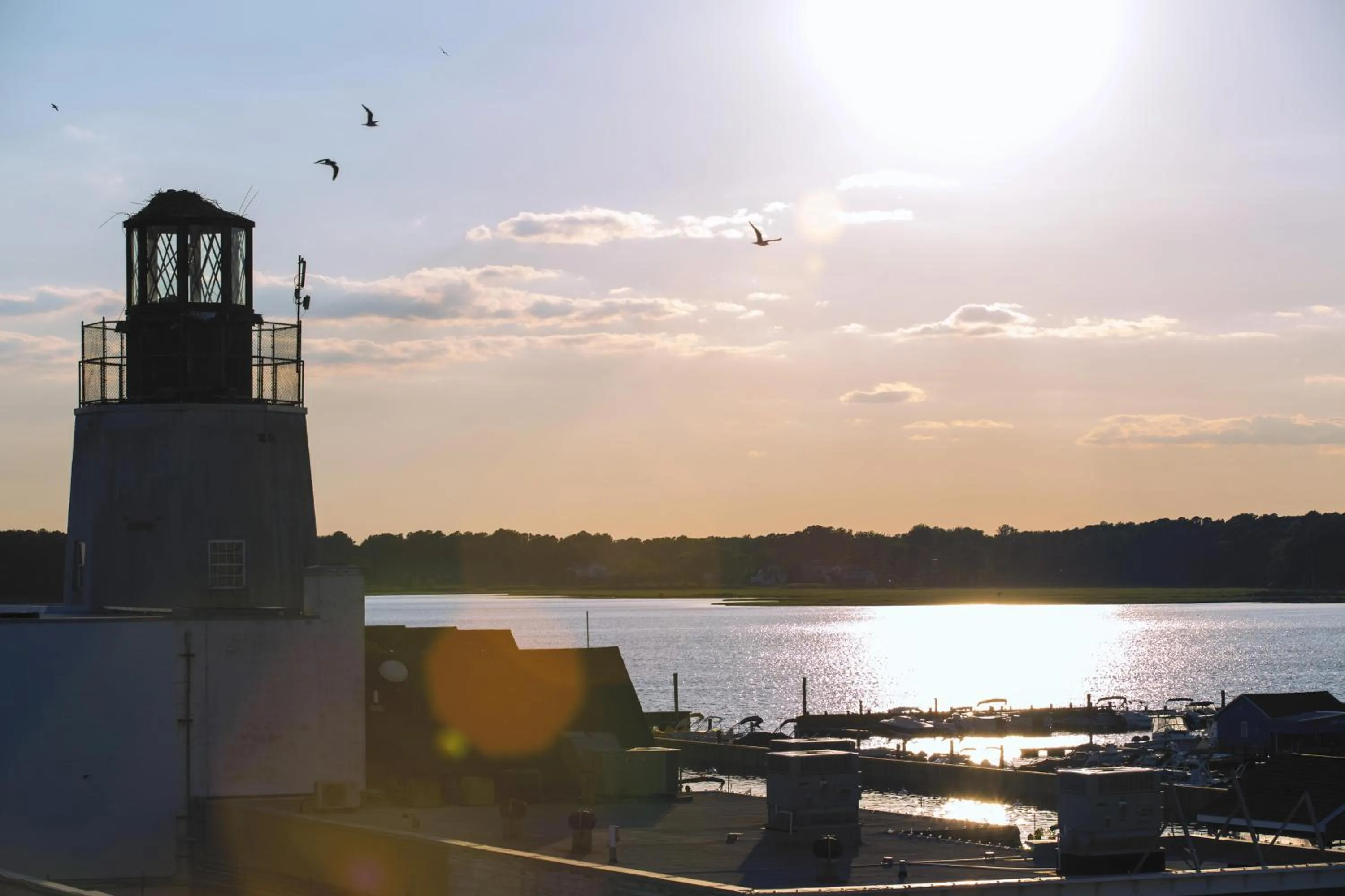 Location in Hyatt Place Dewey Beach