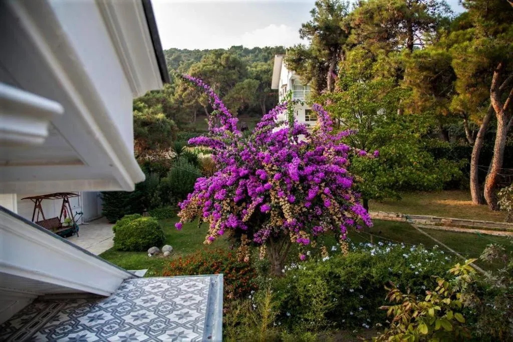 Day in Triada Hotel Büyükada