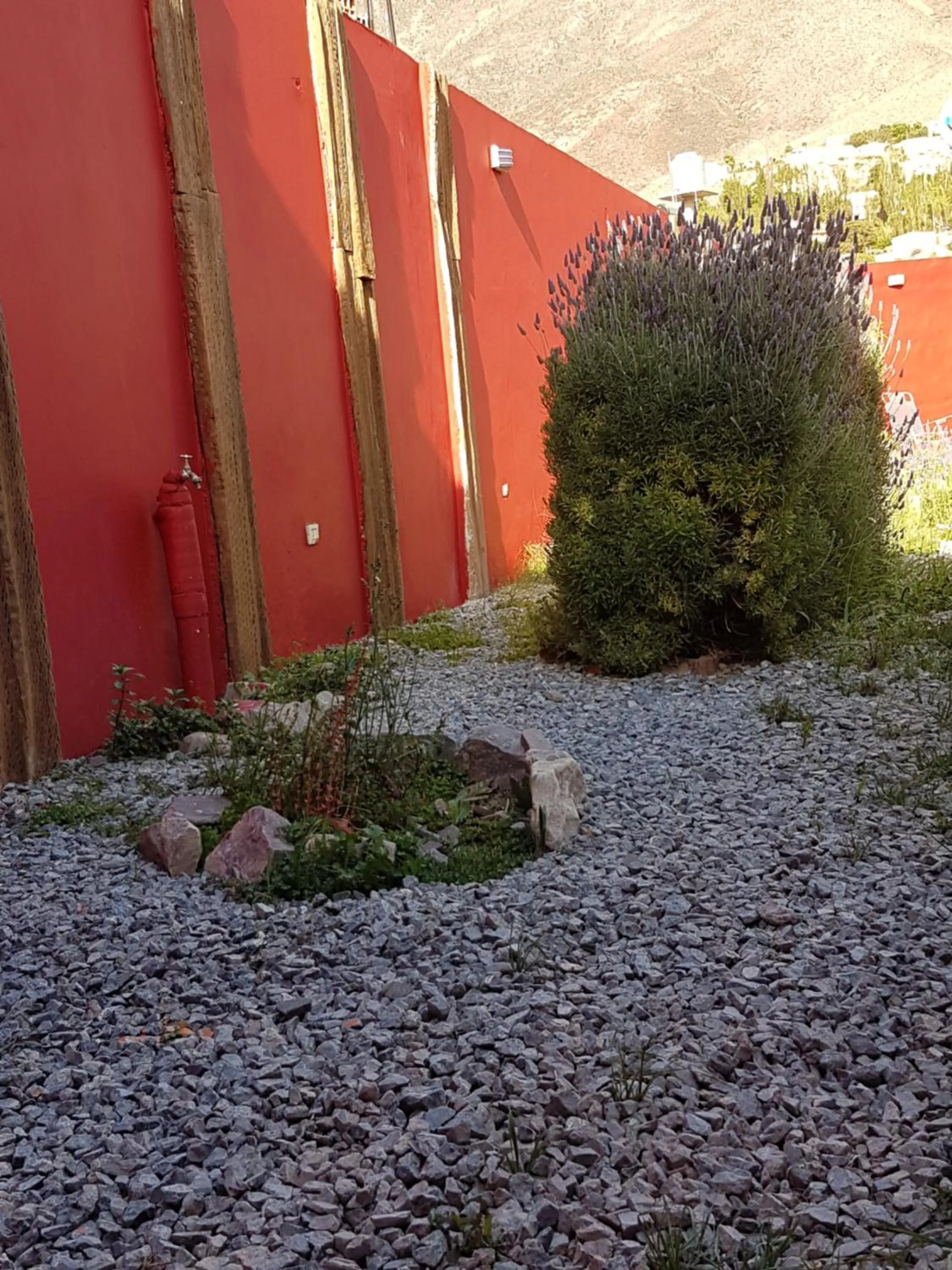 Posada Yacón