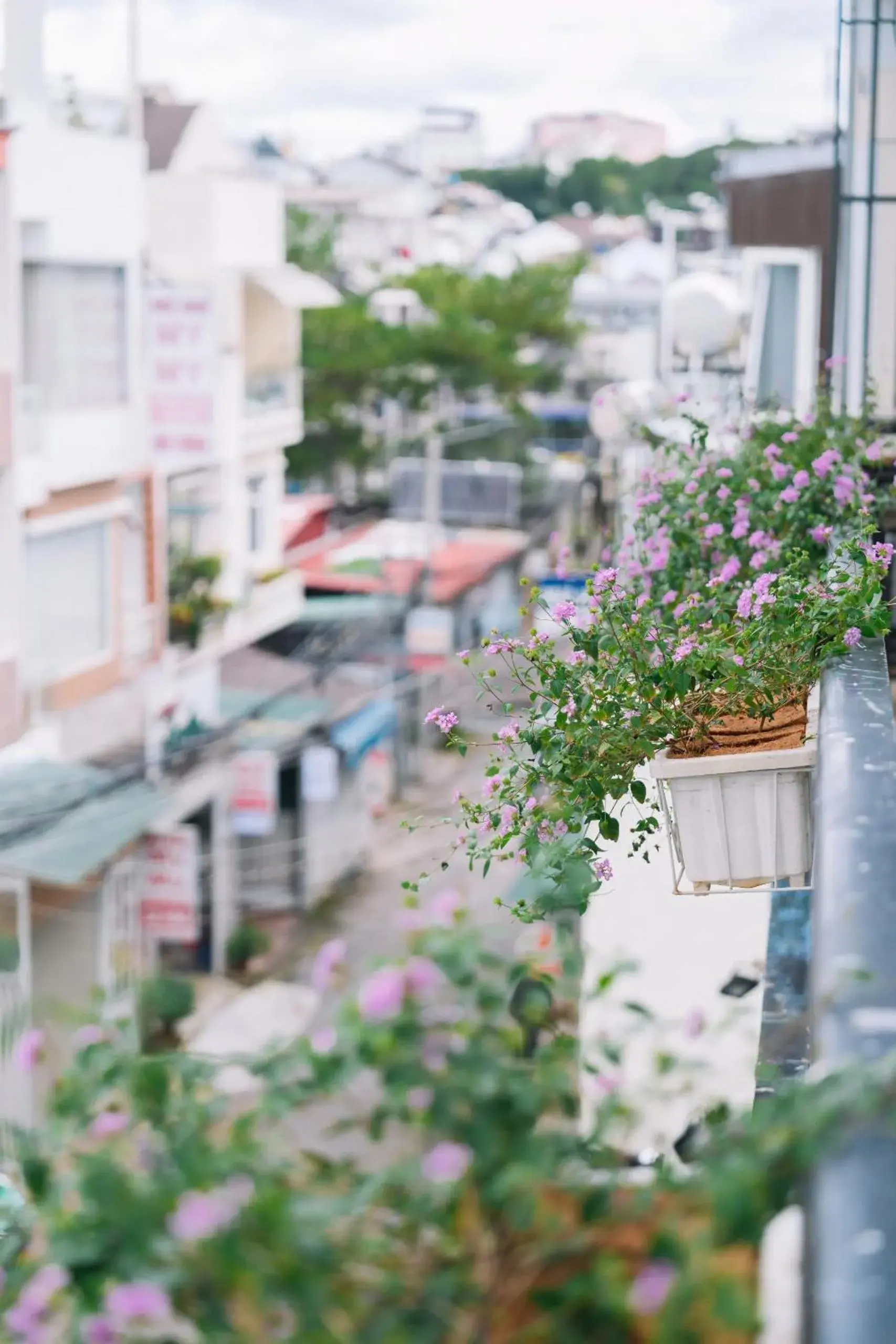 Lobby or reception in Cherry House Đà Lạt Lobby or reception in Cherry House Đà Lạt